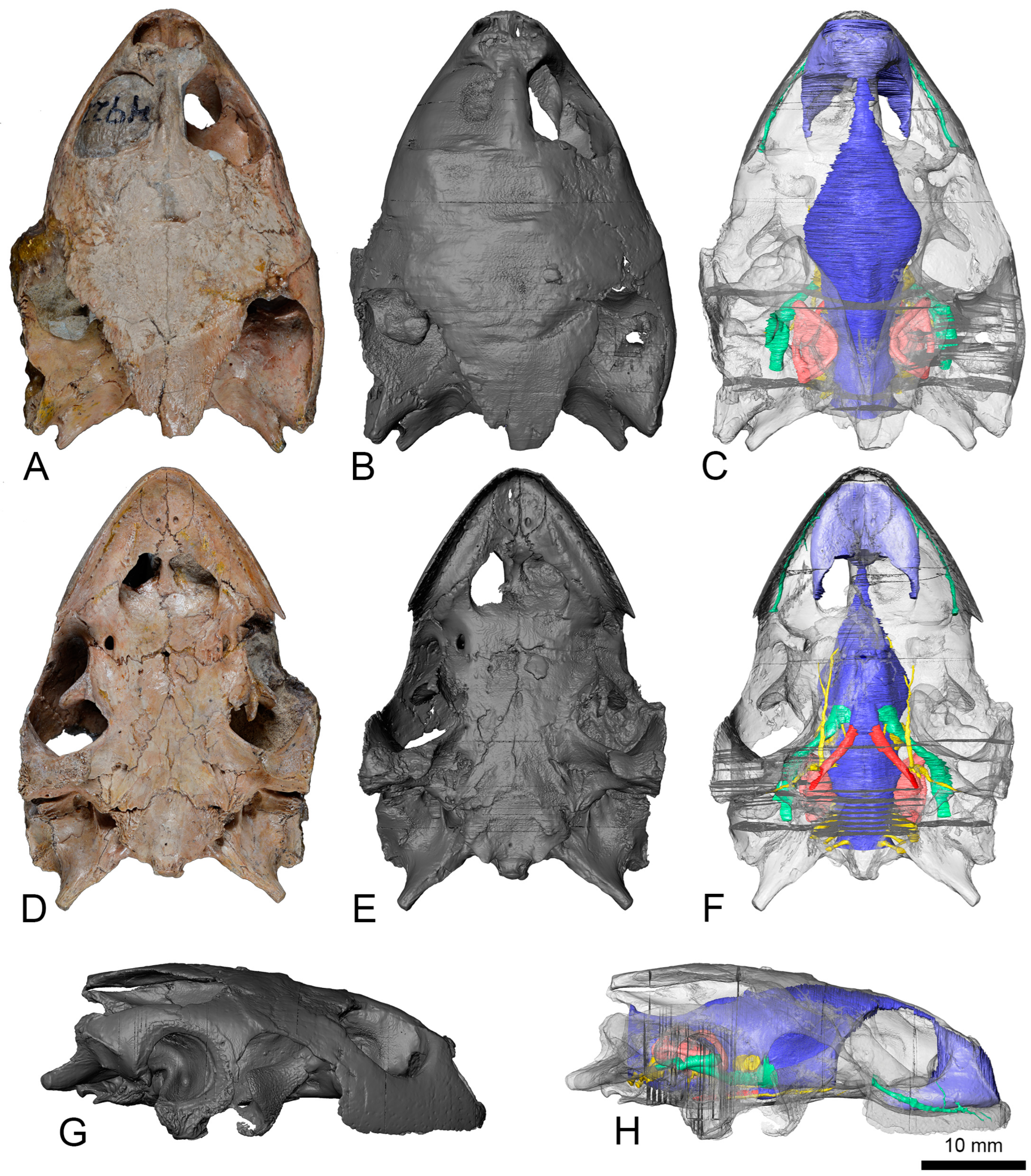 Diversity 15 00374 g001
