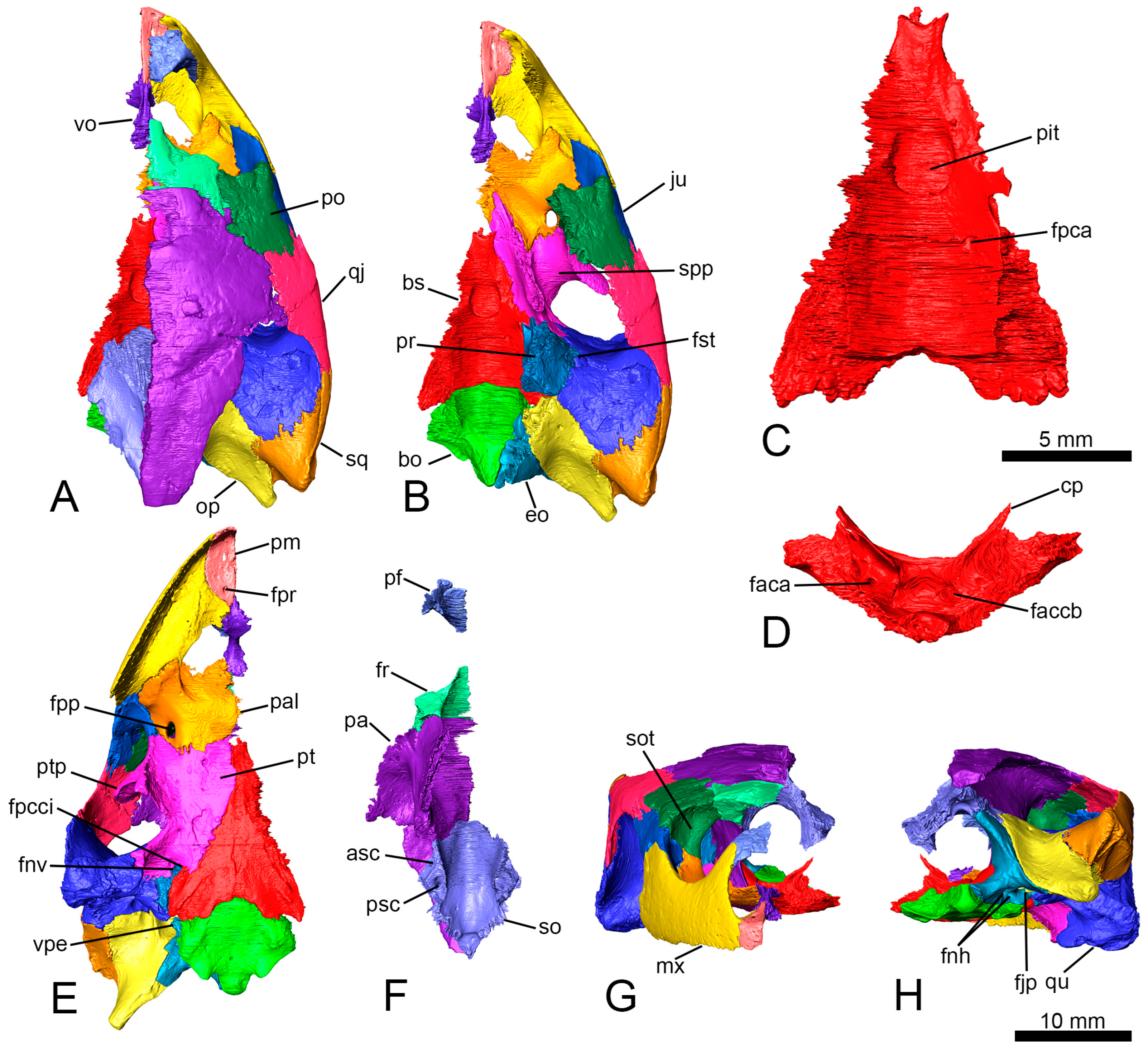 Diversity 15 00374 g002