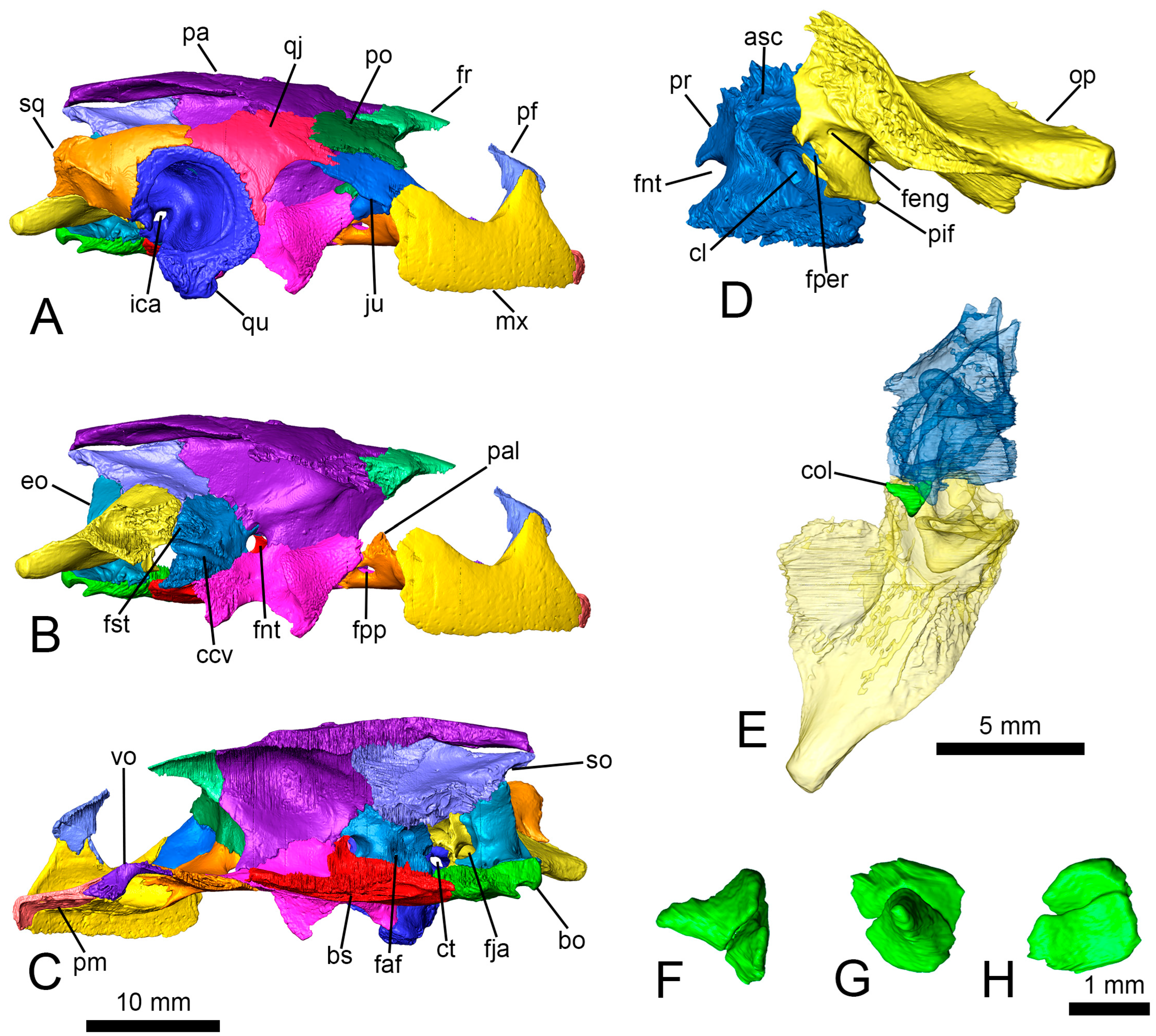 Diversity 15 00374 g003