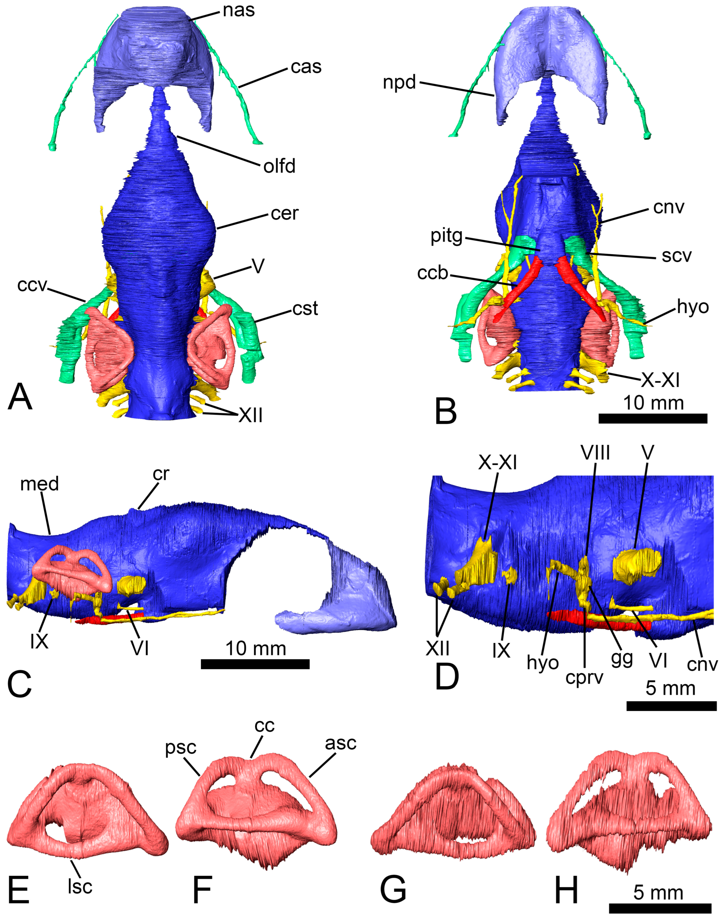 Diversity 15 00374 g004