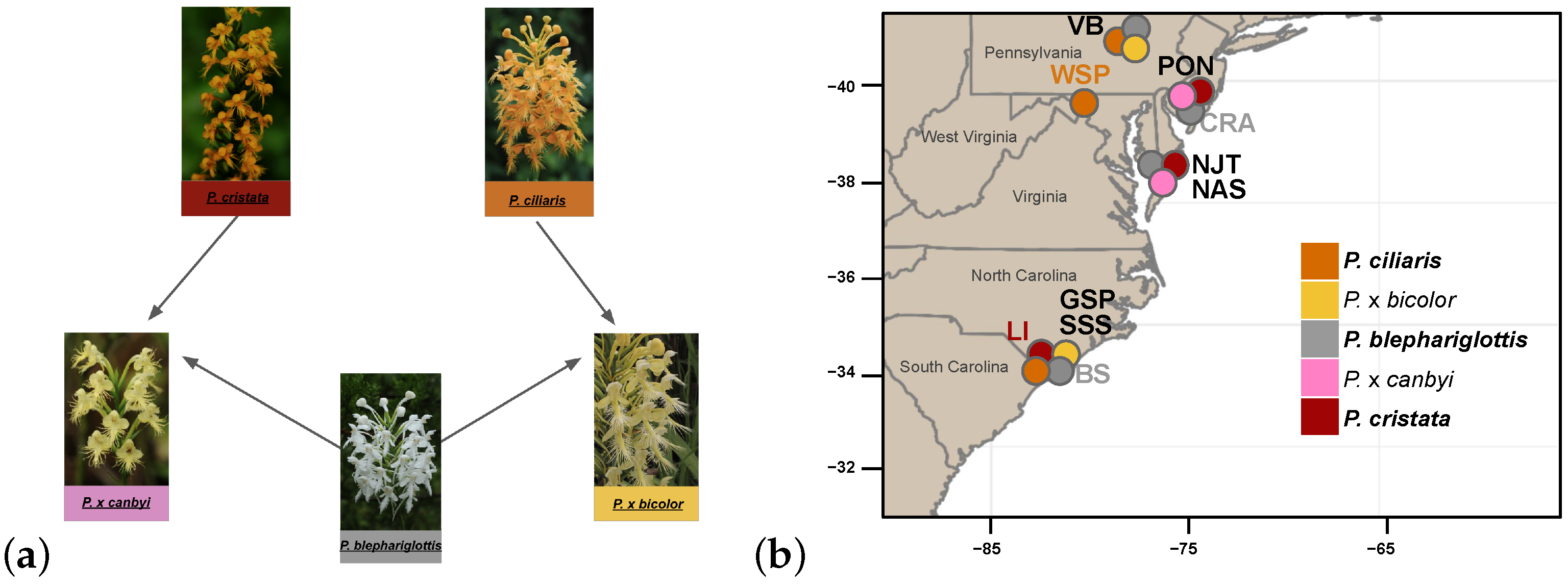 Diversity 15 00384 g001 Diversity 15 00384 g001