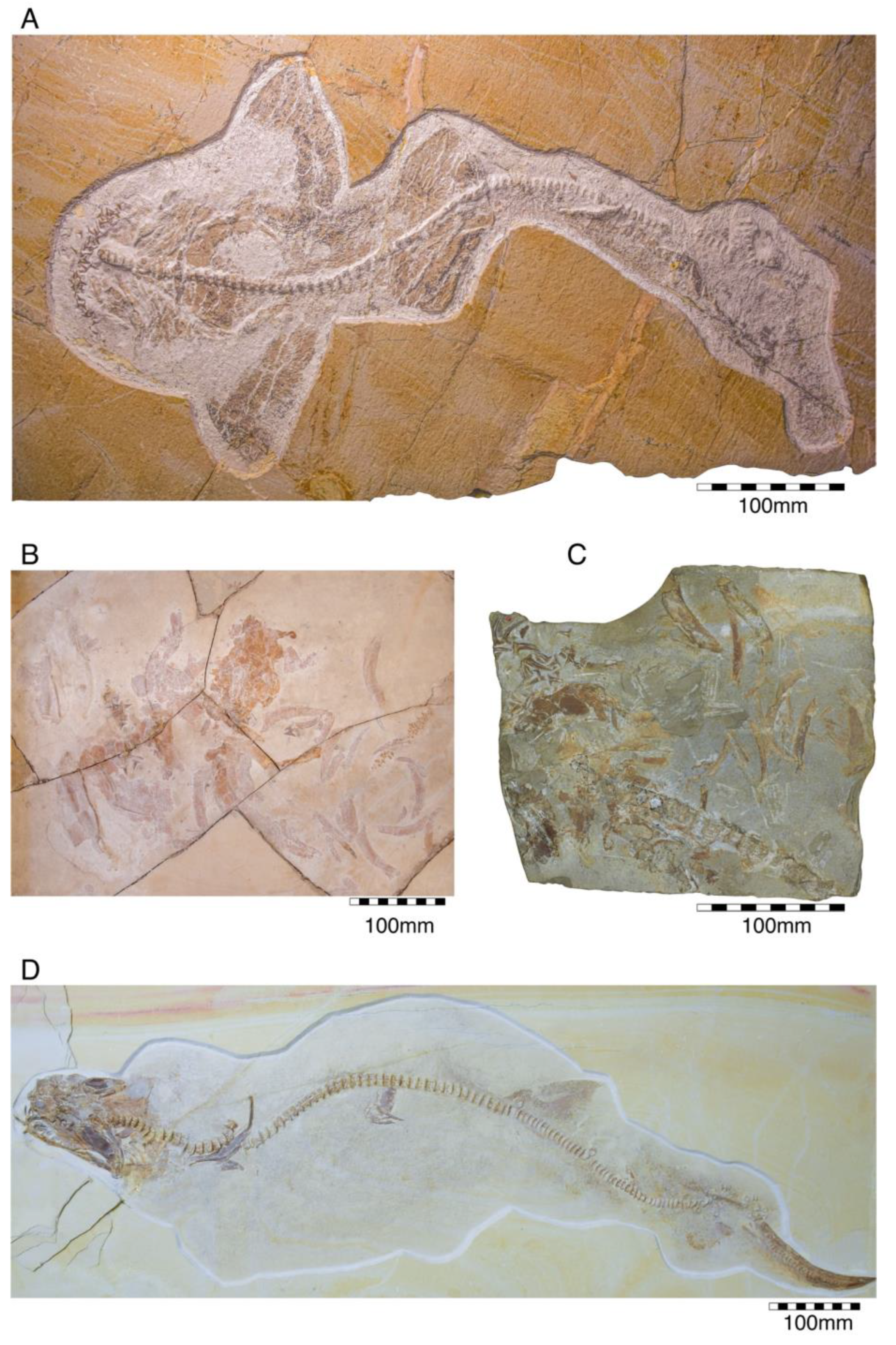 Diversity 15 00386 g013