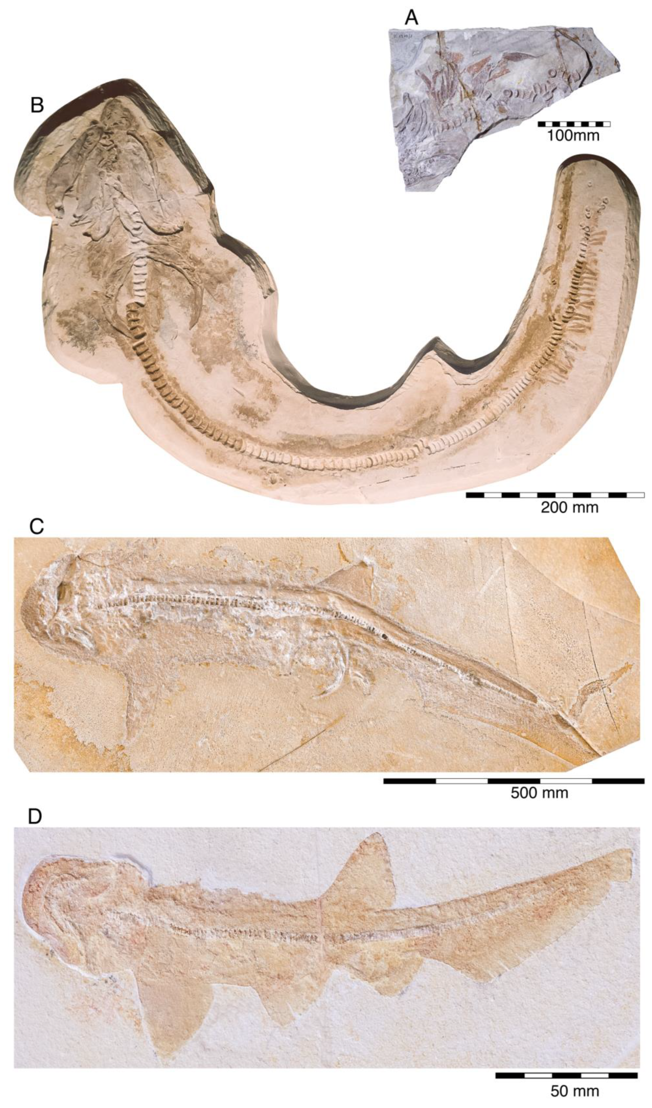 Diversity 15 00386 g015