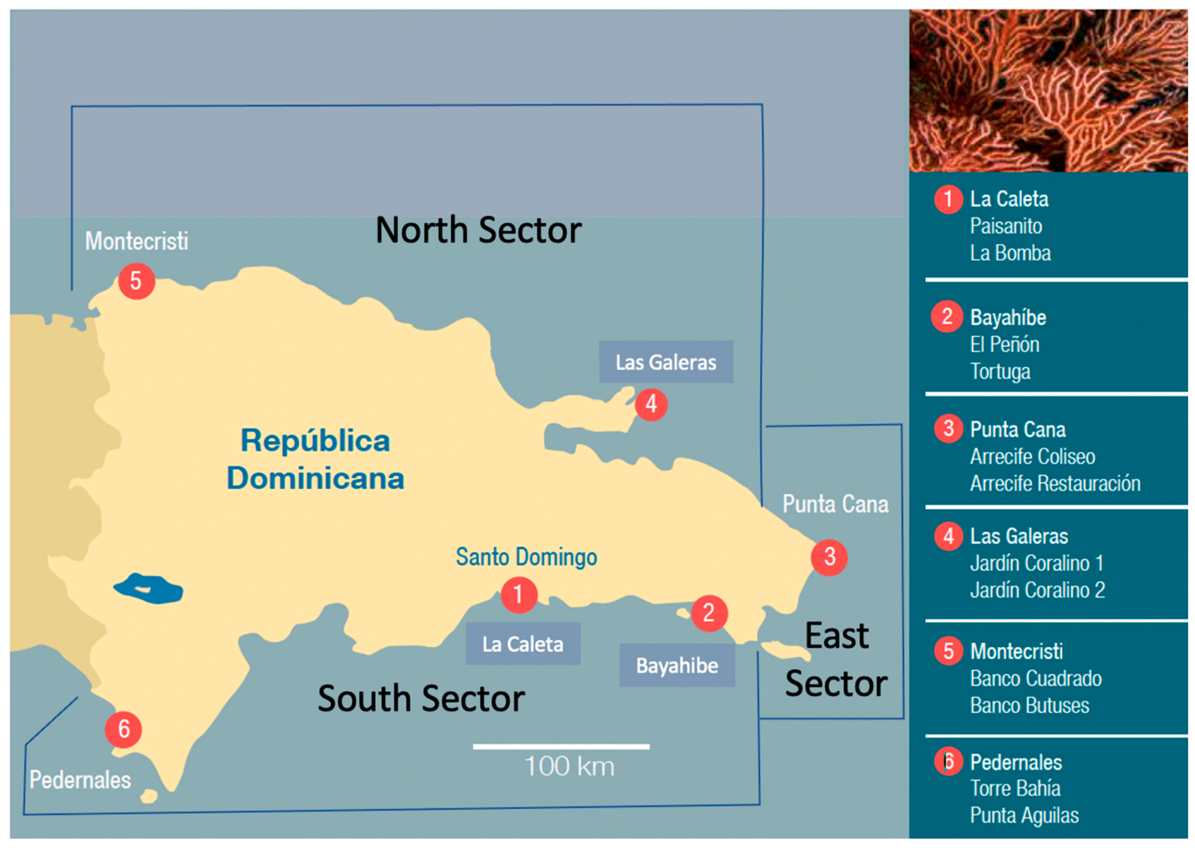 Diversity 15 00389 g001