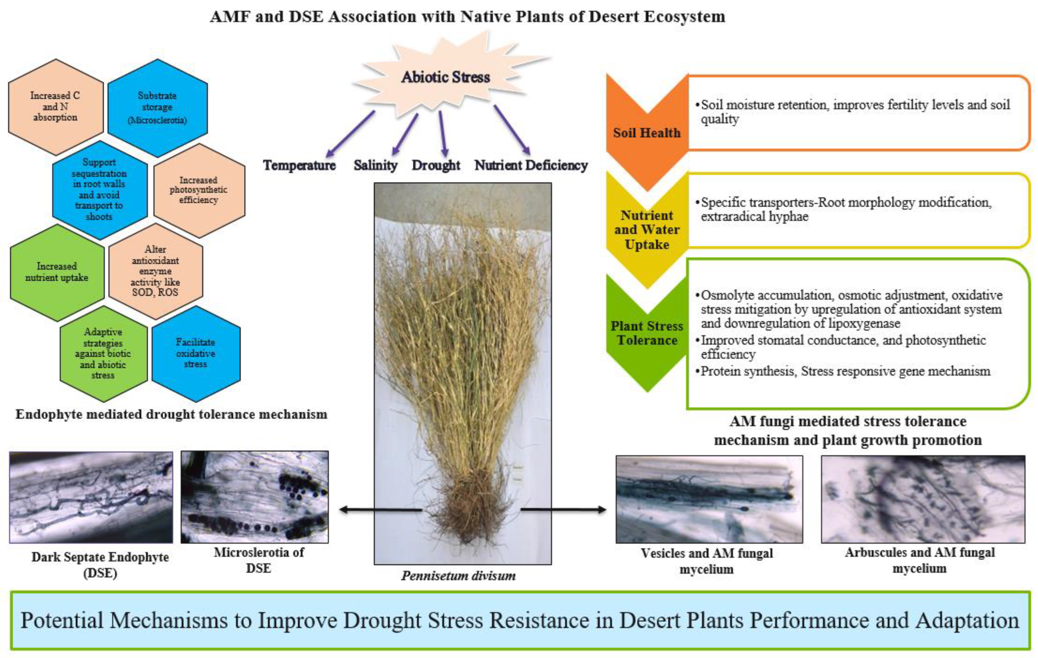 Diversity 15 00391 g001 Diversity 15 00391 g001