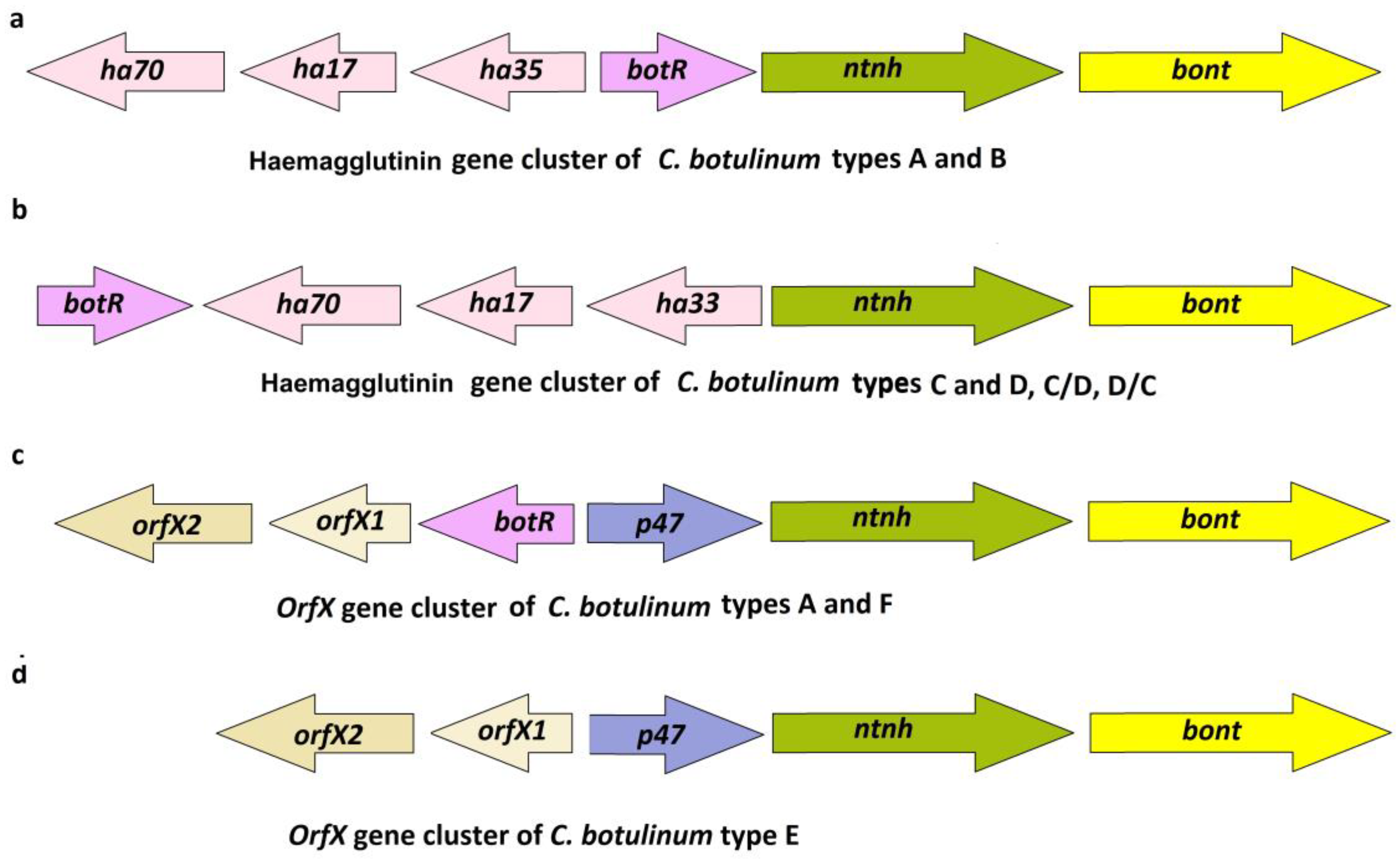Diversity 15 00392 g001