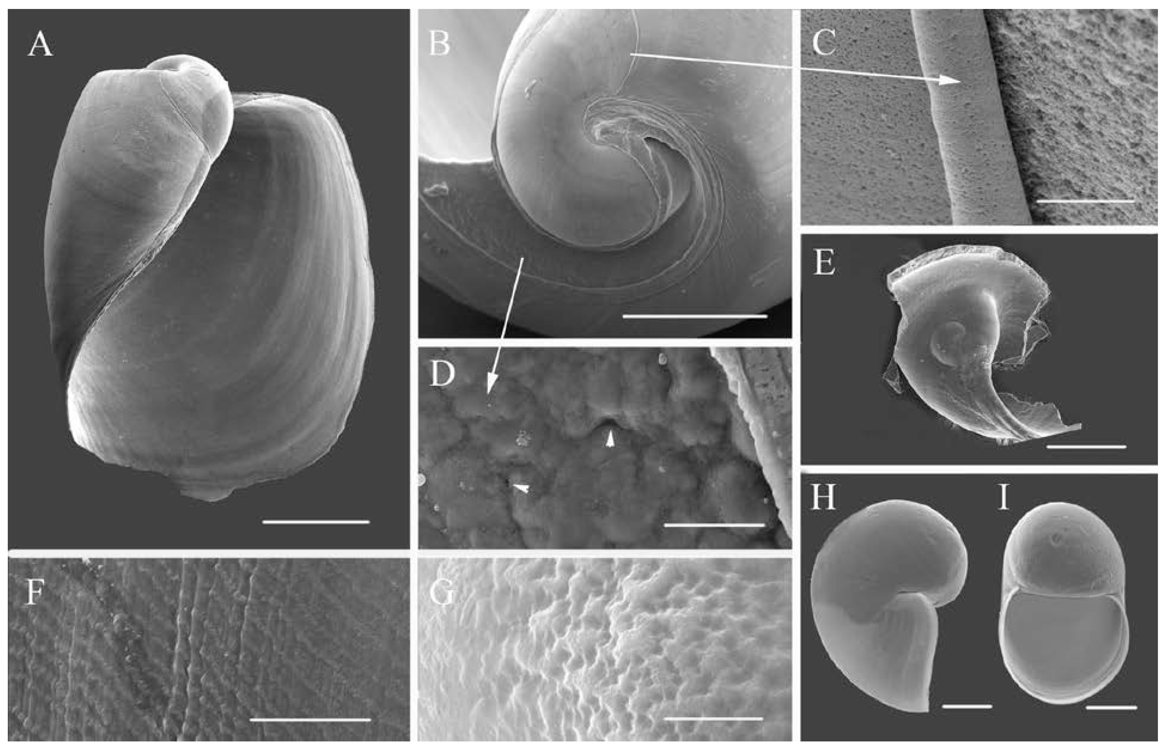 Diversity 15 00395 g003 Diversity 15 00395 g003