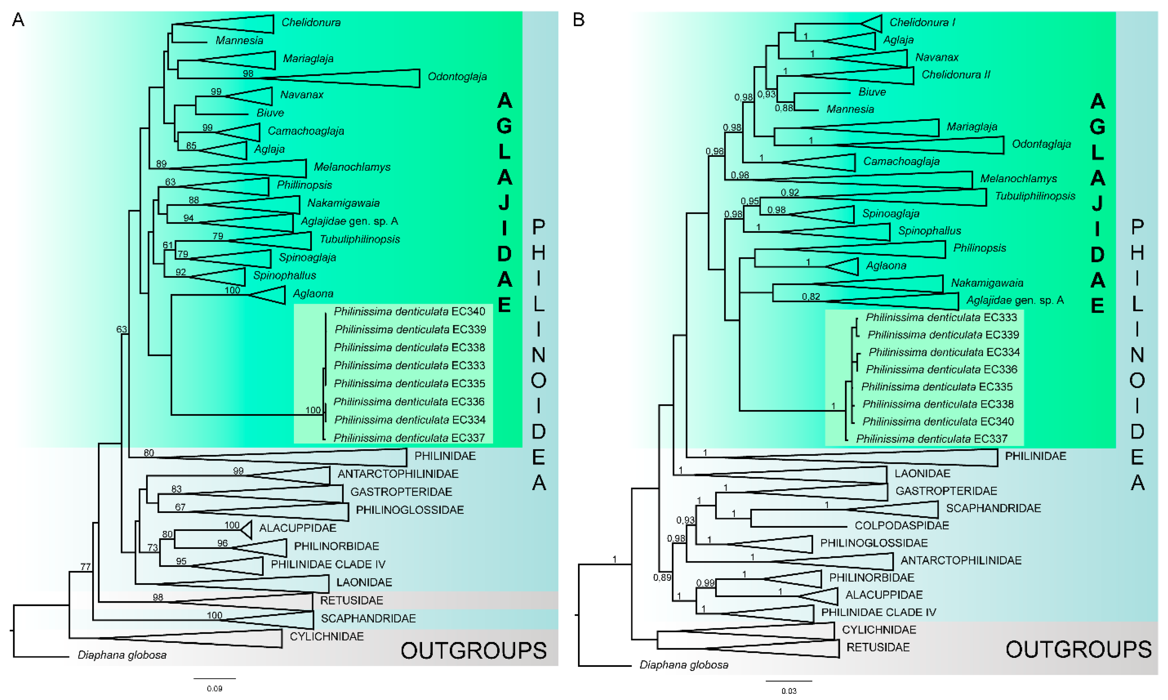 Diversity 15 00395 g005 Diversity 15 00395 g005