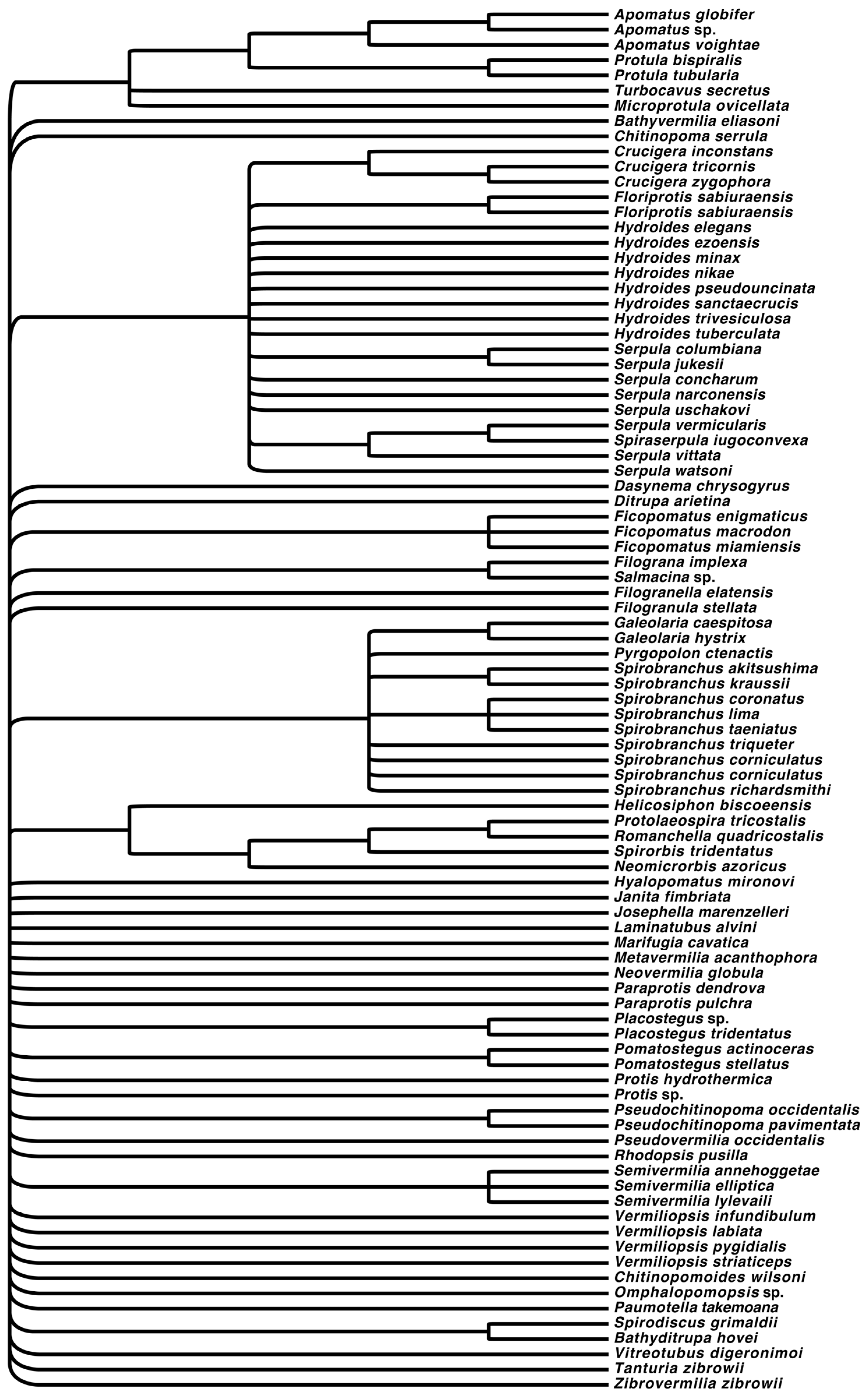 Diversity 15 00398 g001 Diversity 15 00398 g001