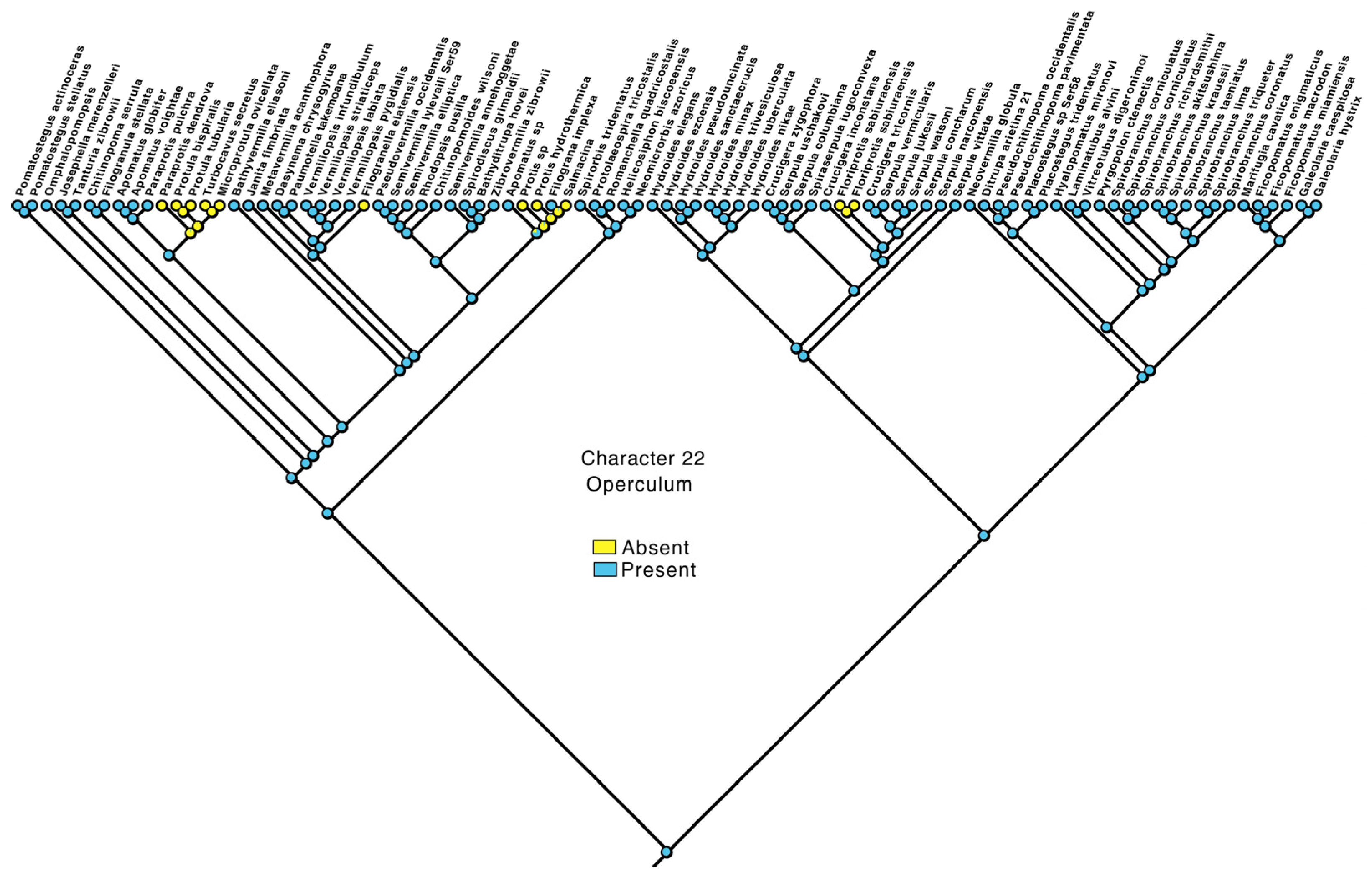Diversity 15 00398 g004 Diversity 15 00398 g004