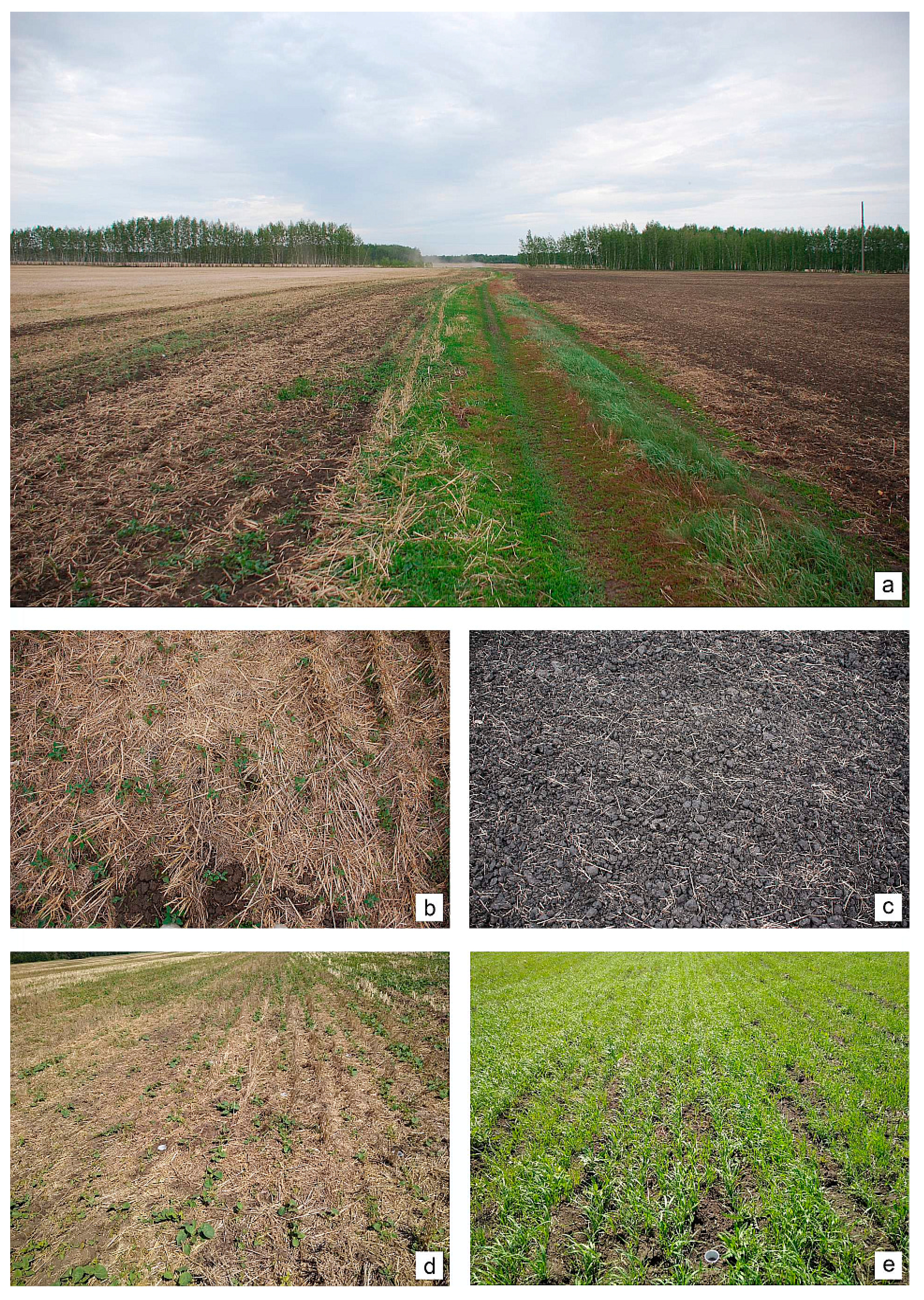 Diversity 15 00402 g001