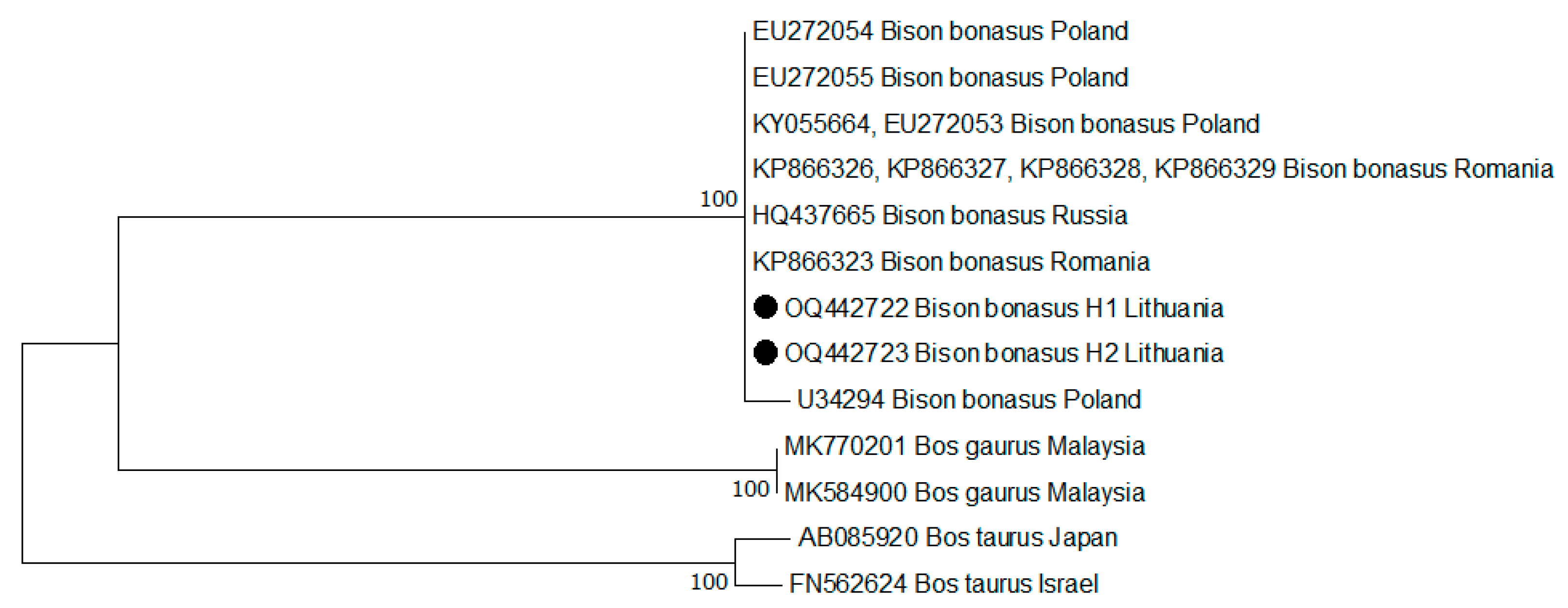 Diversity 15 00406 g005