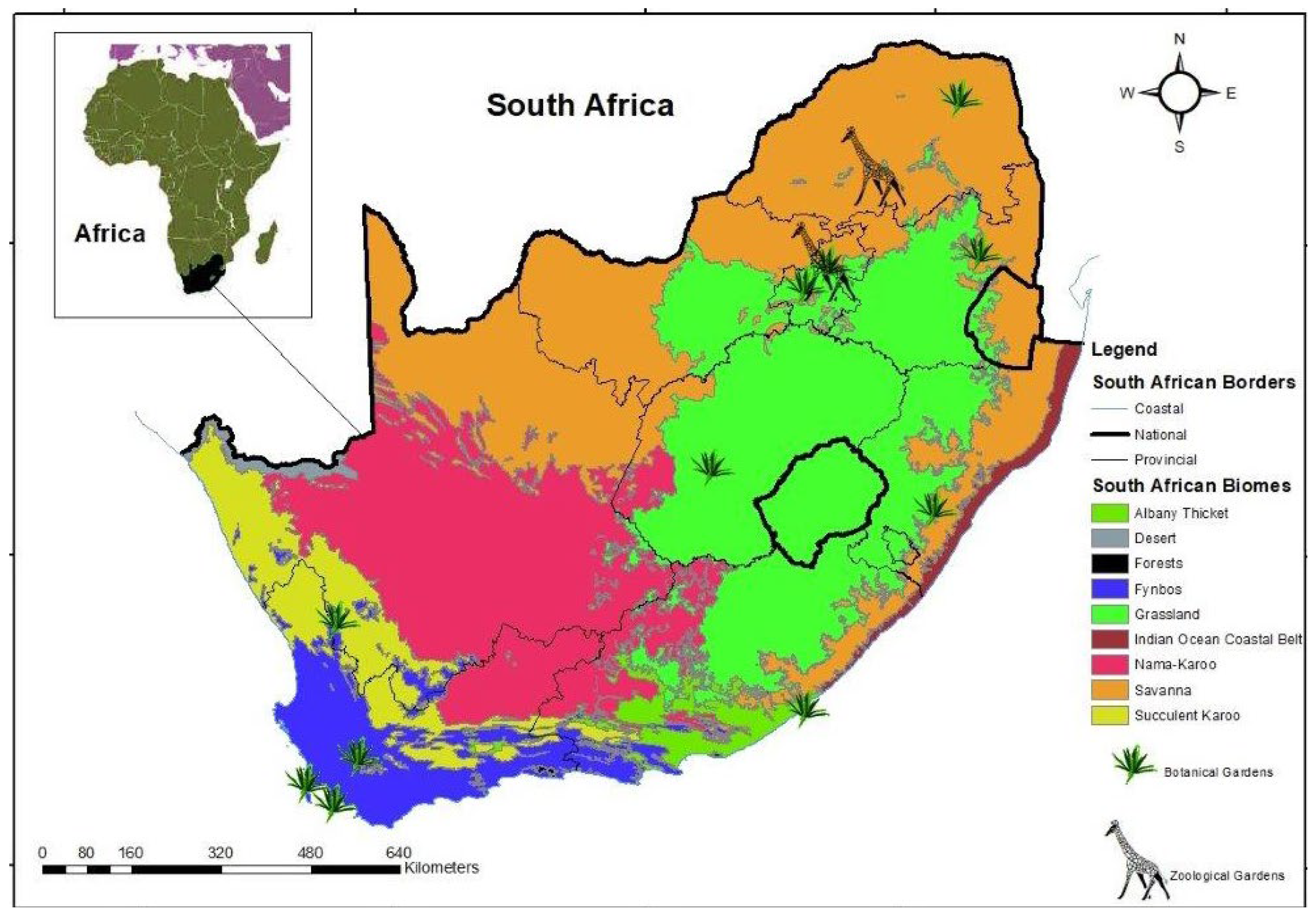 Diversity 15 00407 g001