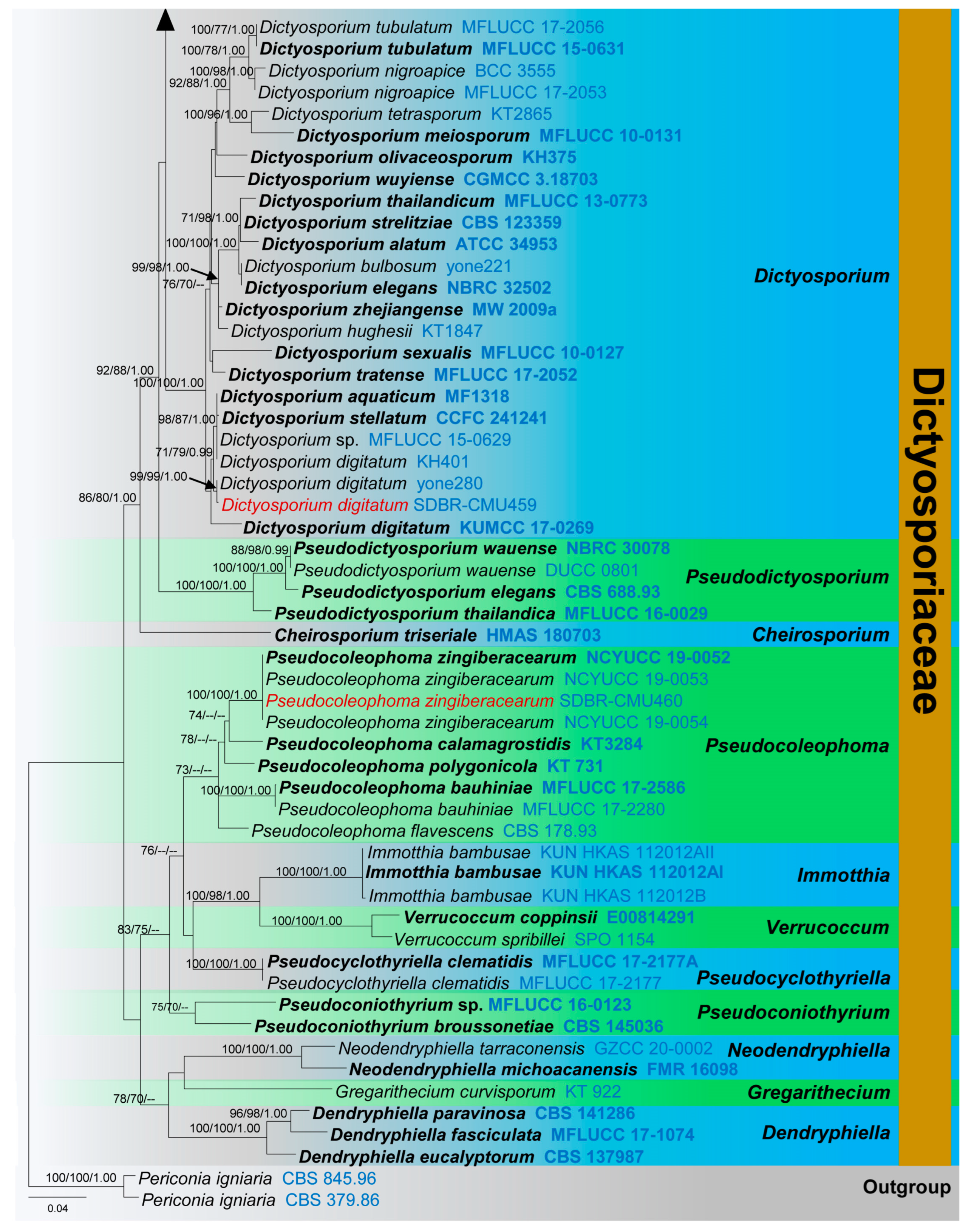 Diversity 15 00410 g001b