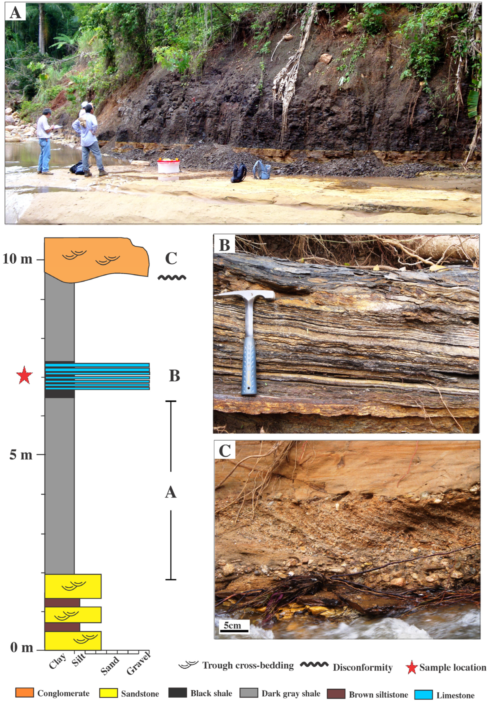 Diversity 15 00413 g004