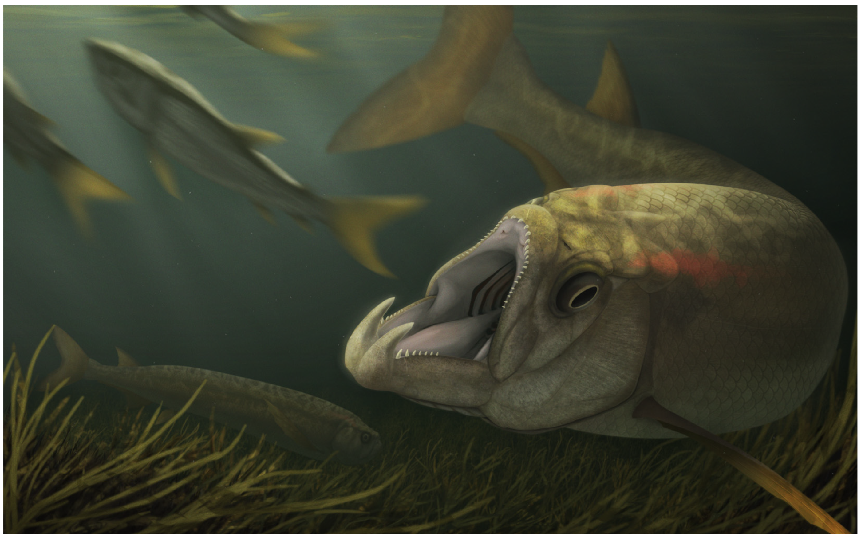 Diversity 15 00413 g009