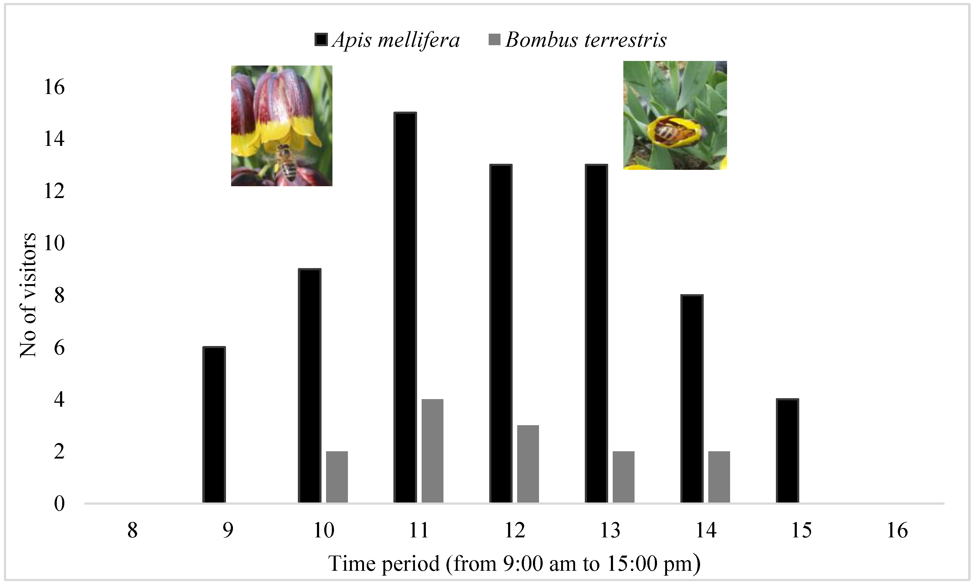 Diversity 15 00414 g004 Diversity 15 00414 g004