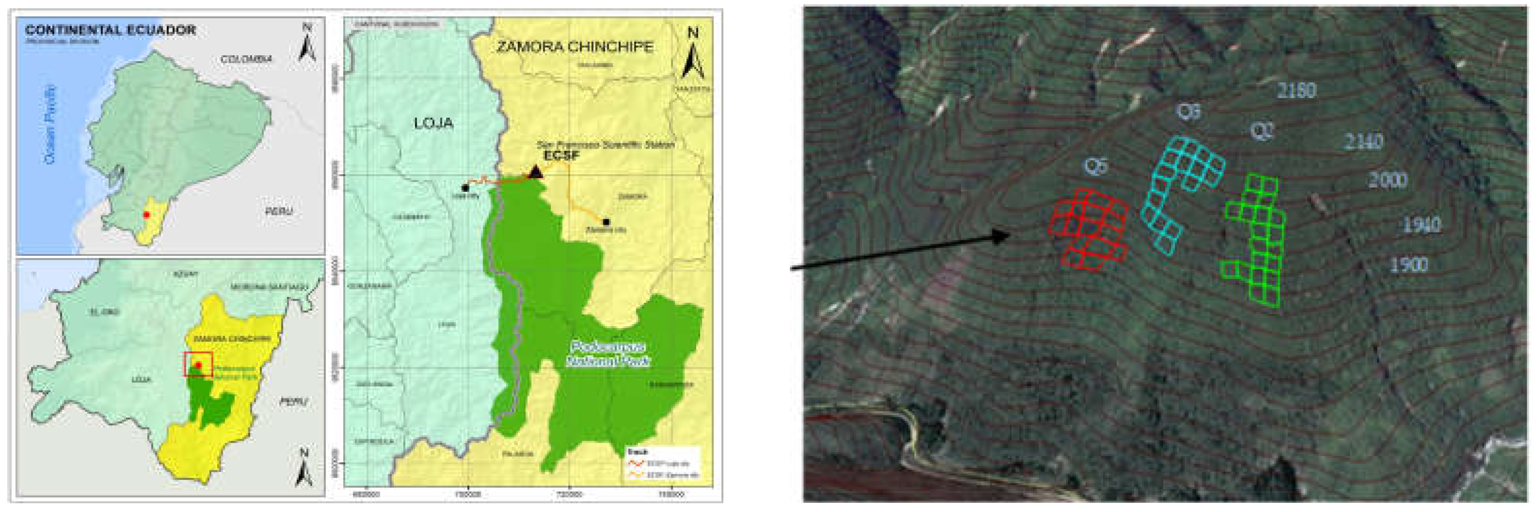 Diversity 15 00420 g001 Diversity 15 00420 g001