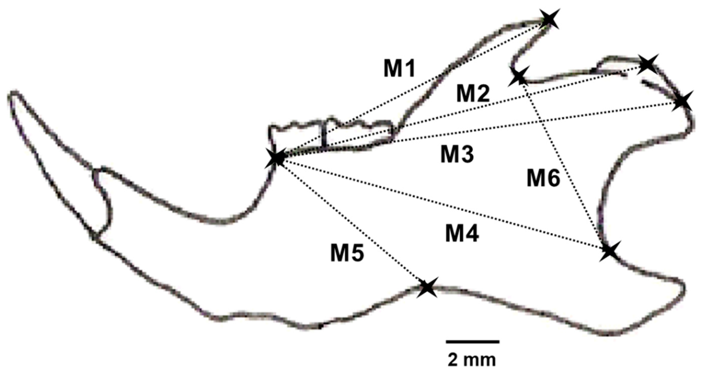 Diversity 15 00423 g002 Diversity 15 00423 g002