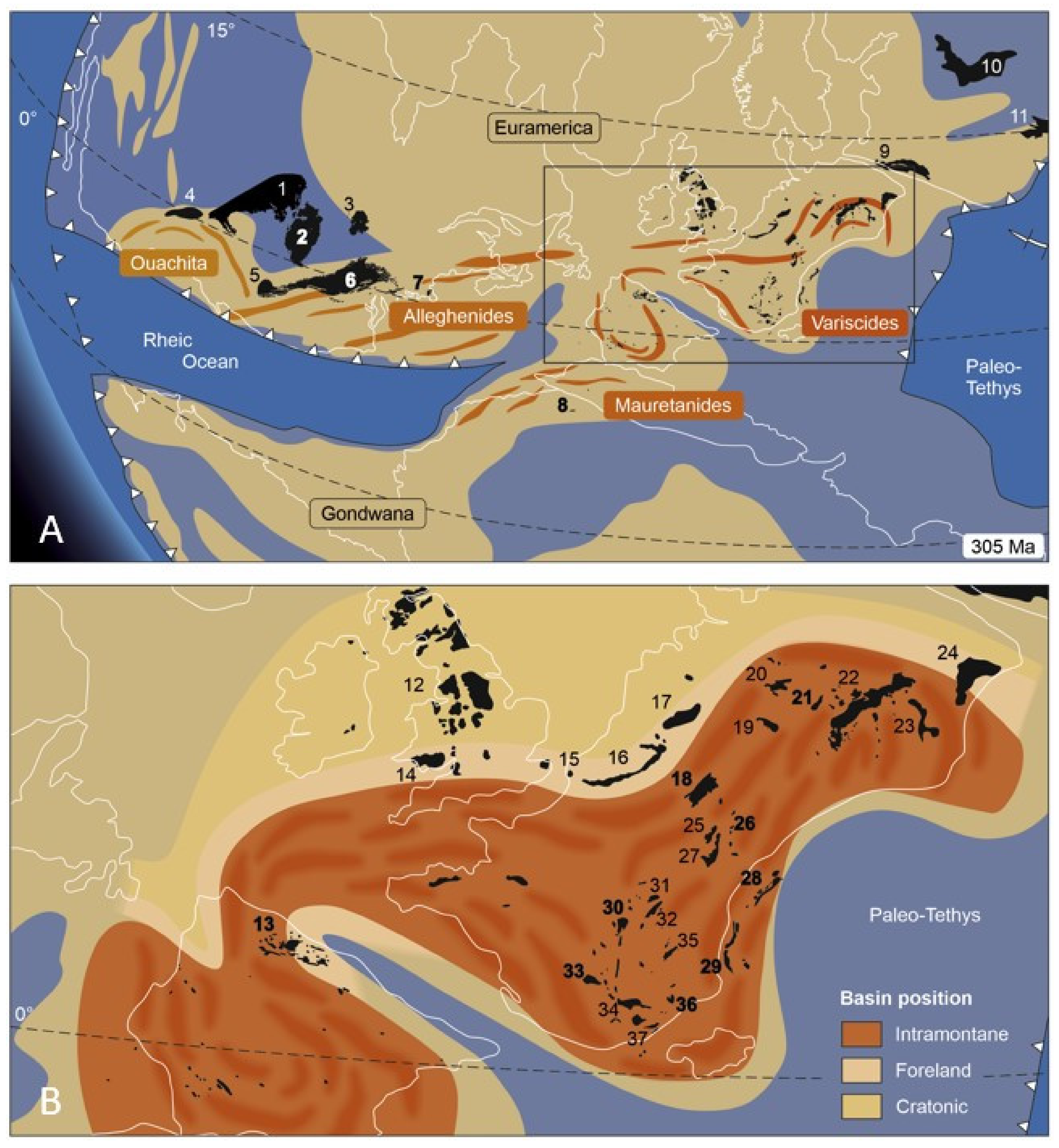 Diversity 15 00429 g002