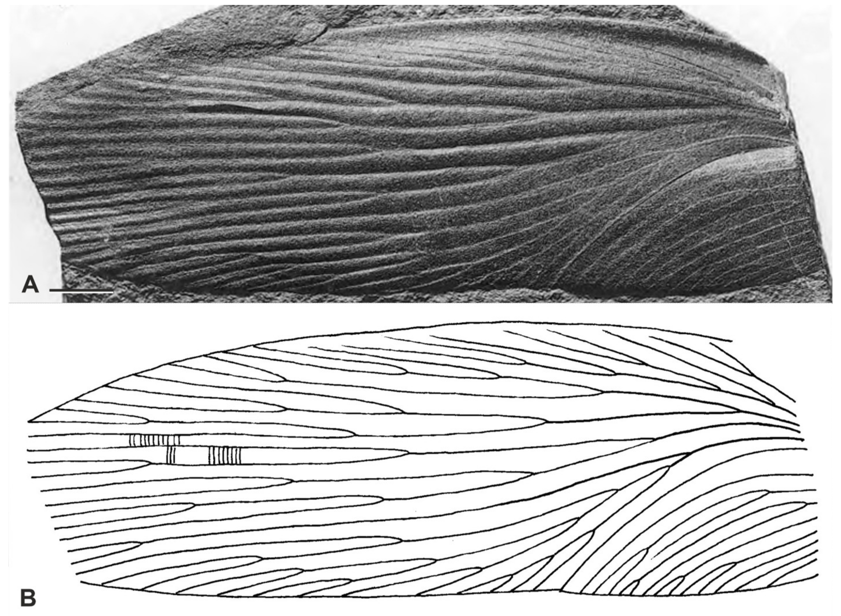 Diversity 15 00429 g009