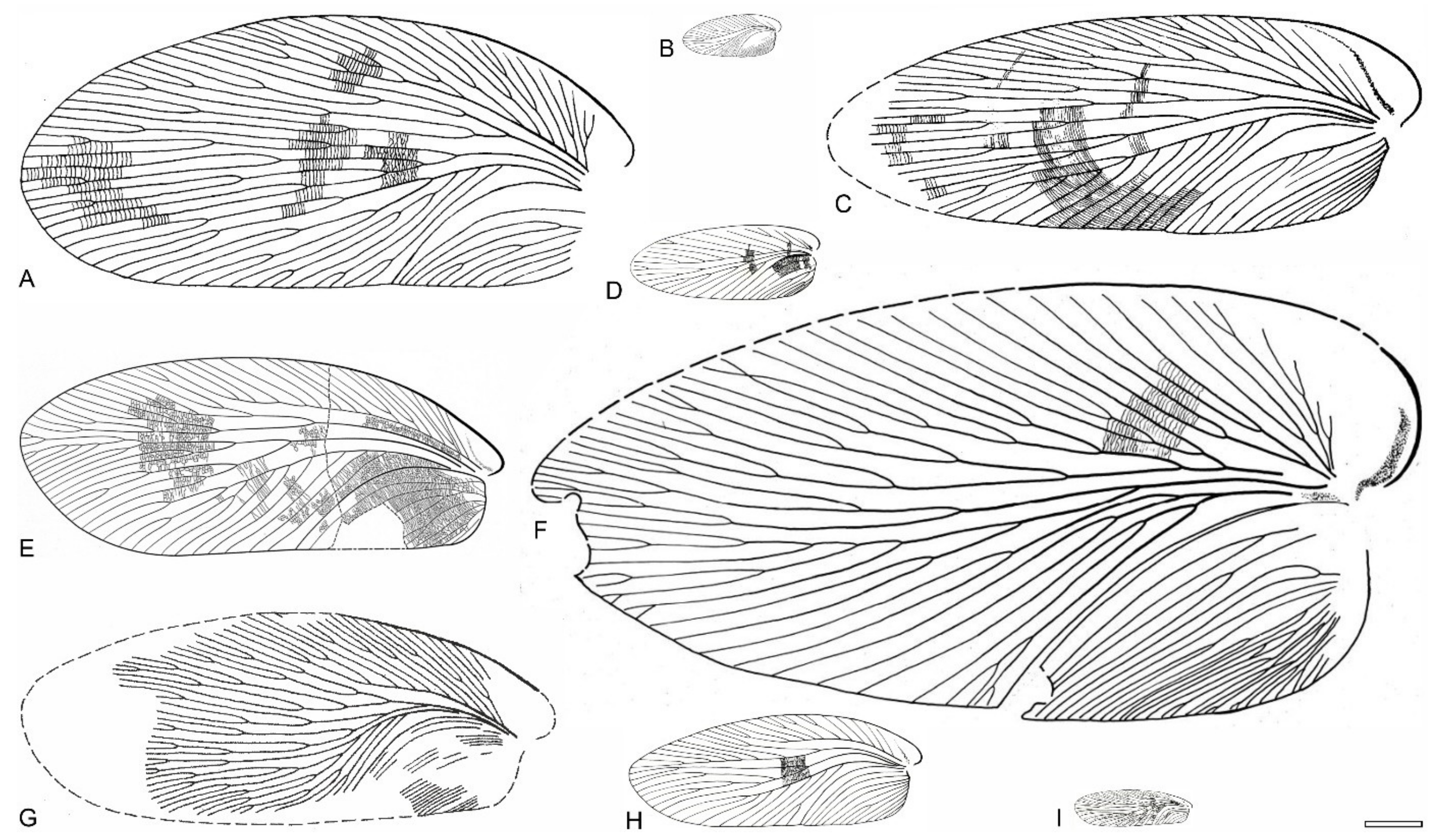 Diversity 15 00429 g020