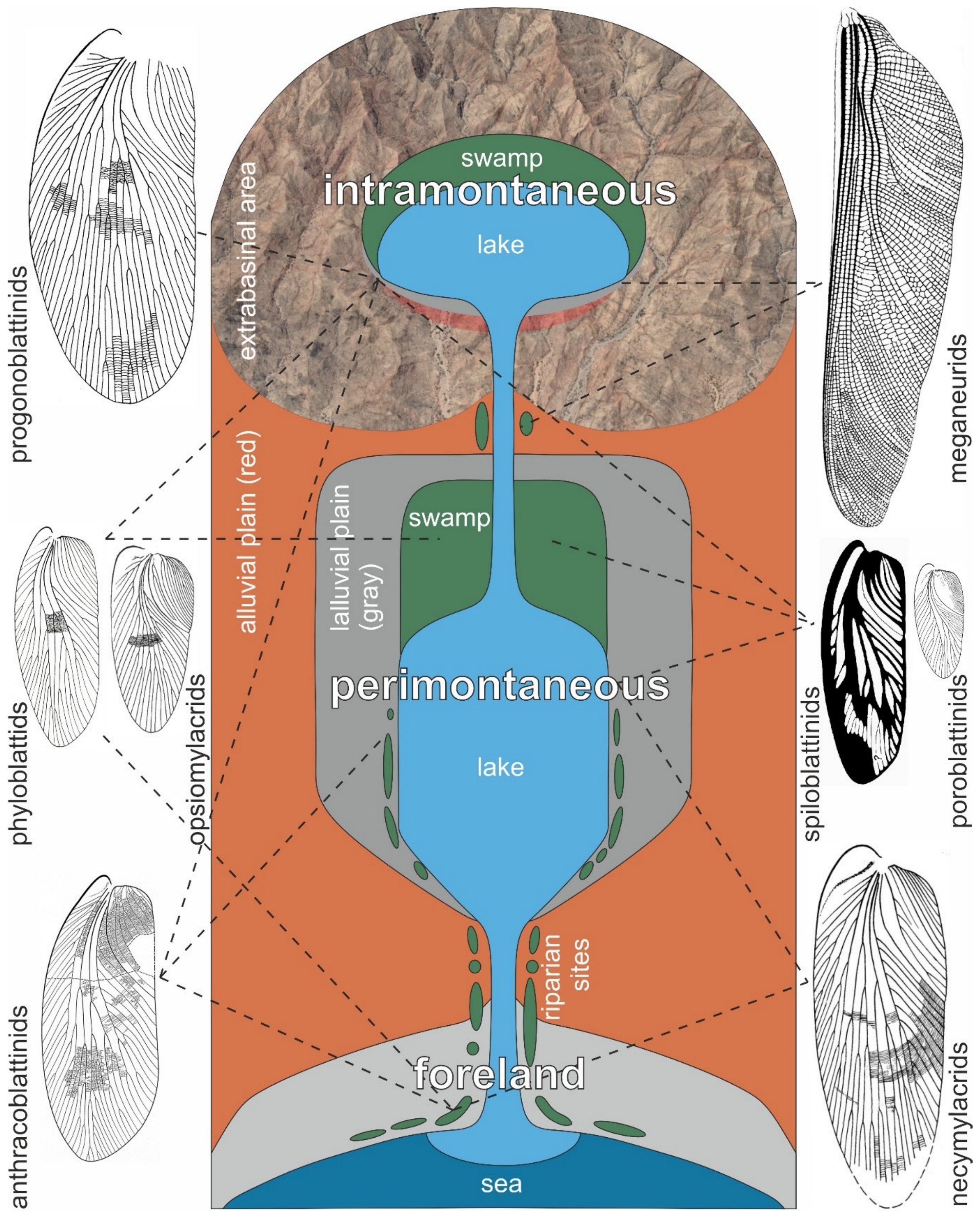 Diversity 15 00429 g021