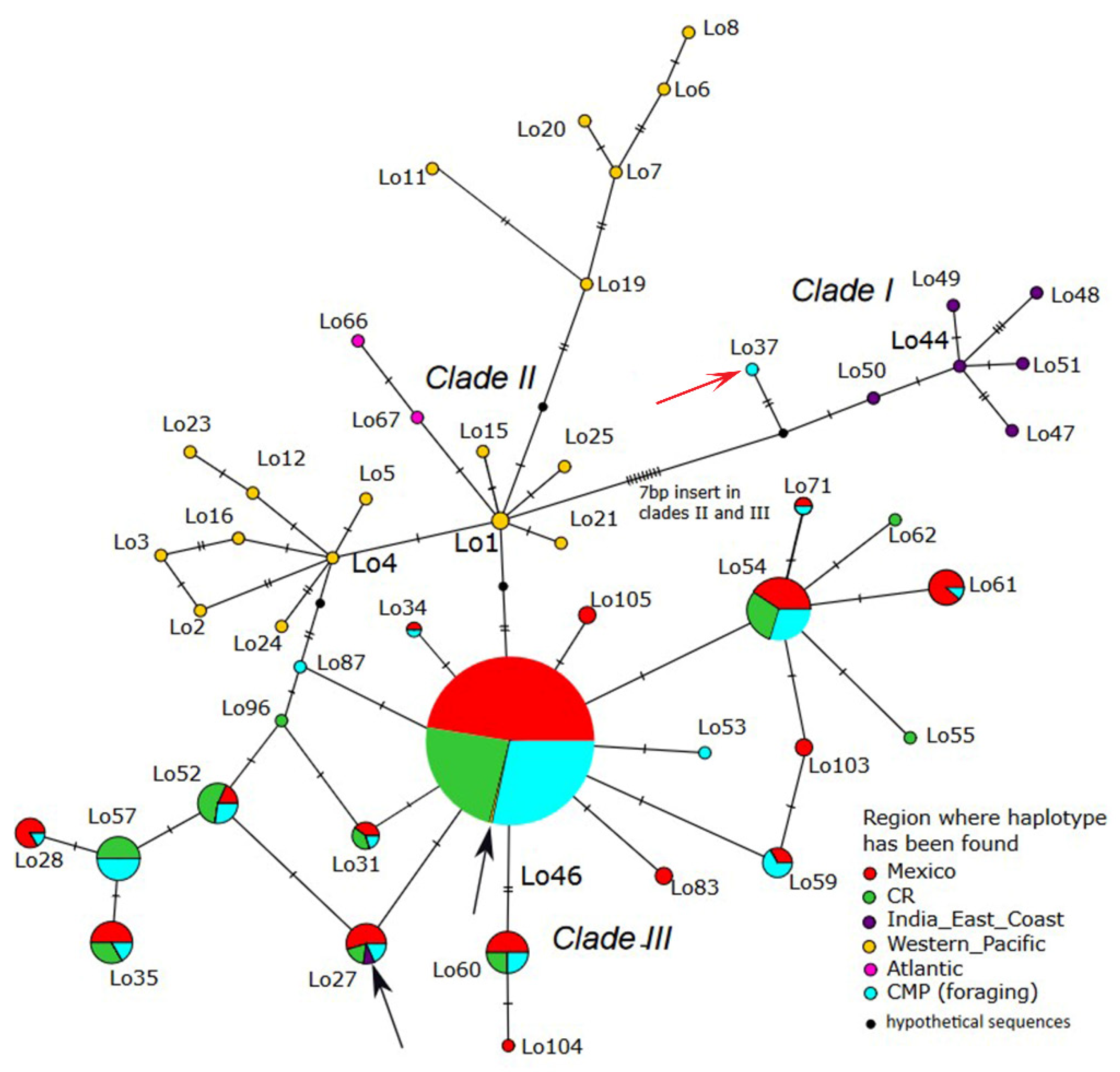 Diversity 15 00430 g002