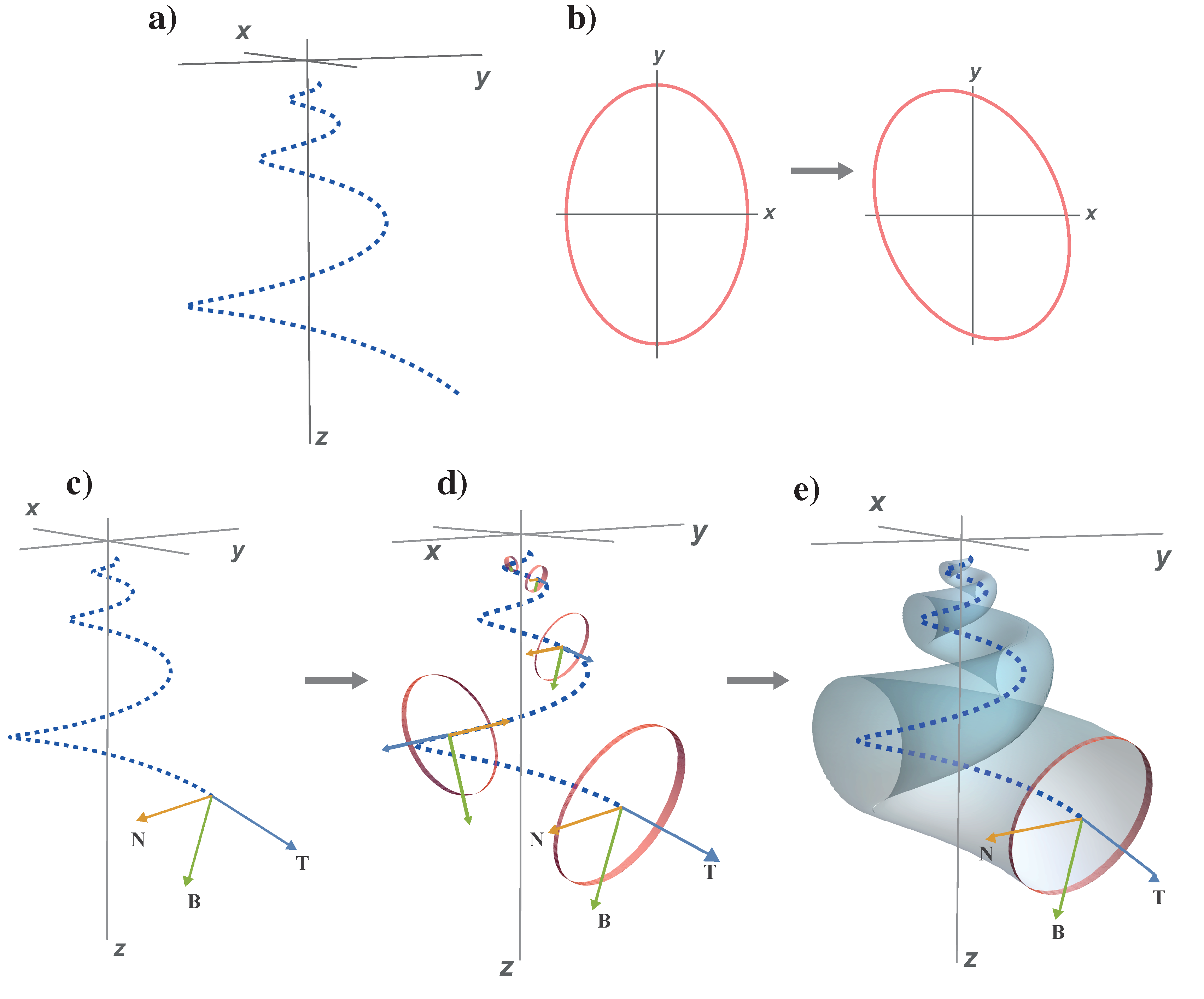 A Mathematical Model for Mollusc Shells Based on Parametric 