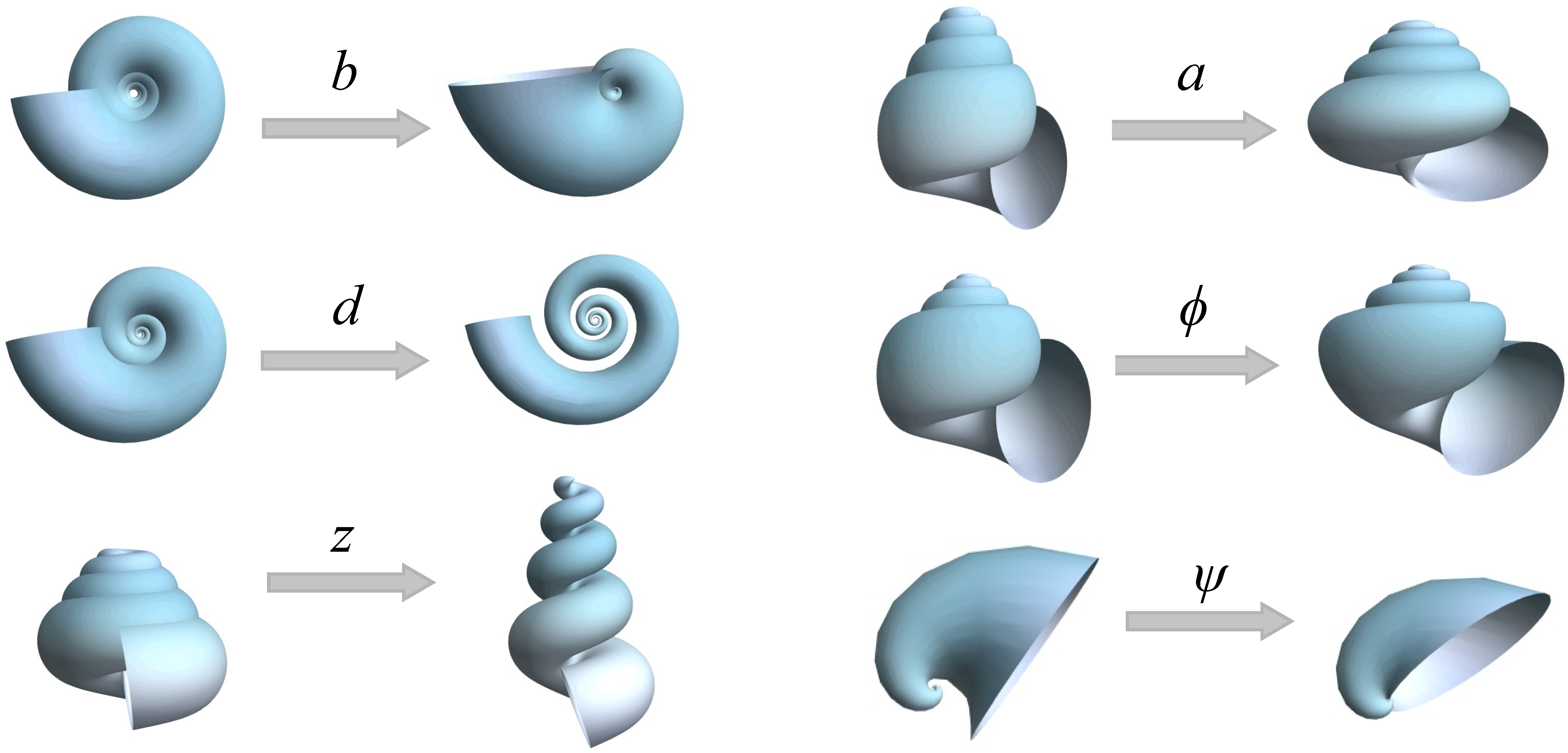 Diversity 15 00431 g002