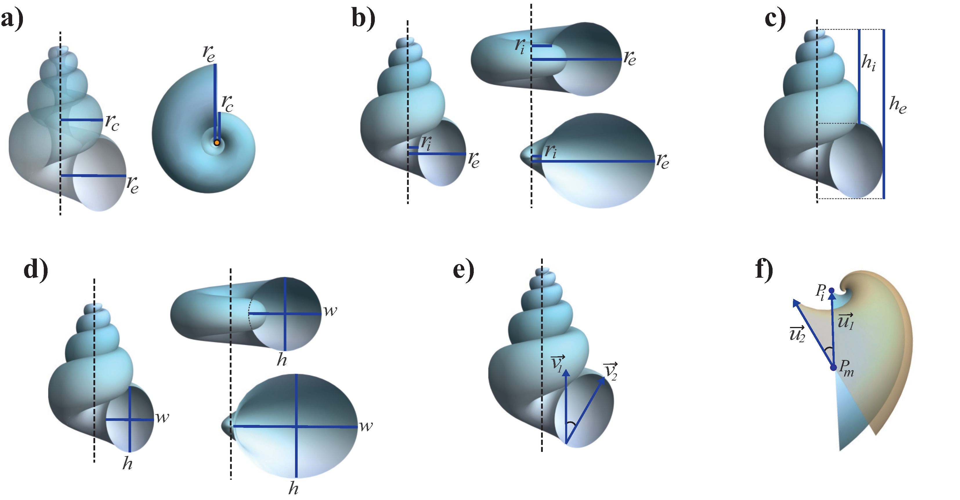 Diversity 15 00431 g004