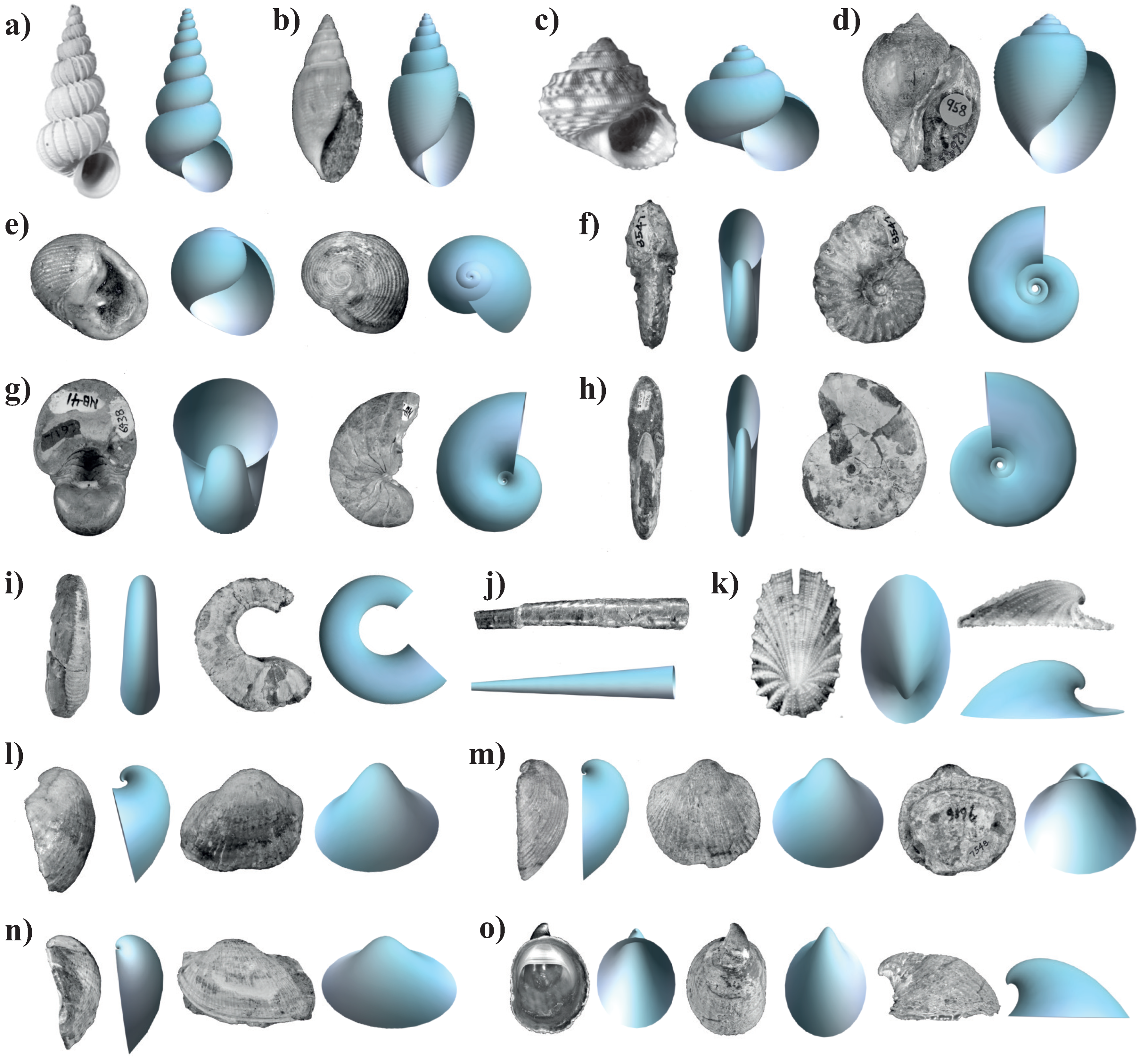 Diversity 15 00431 g010