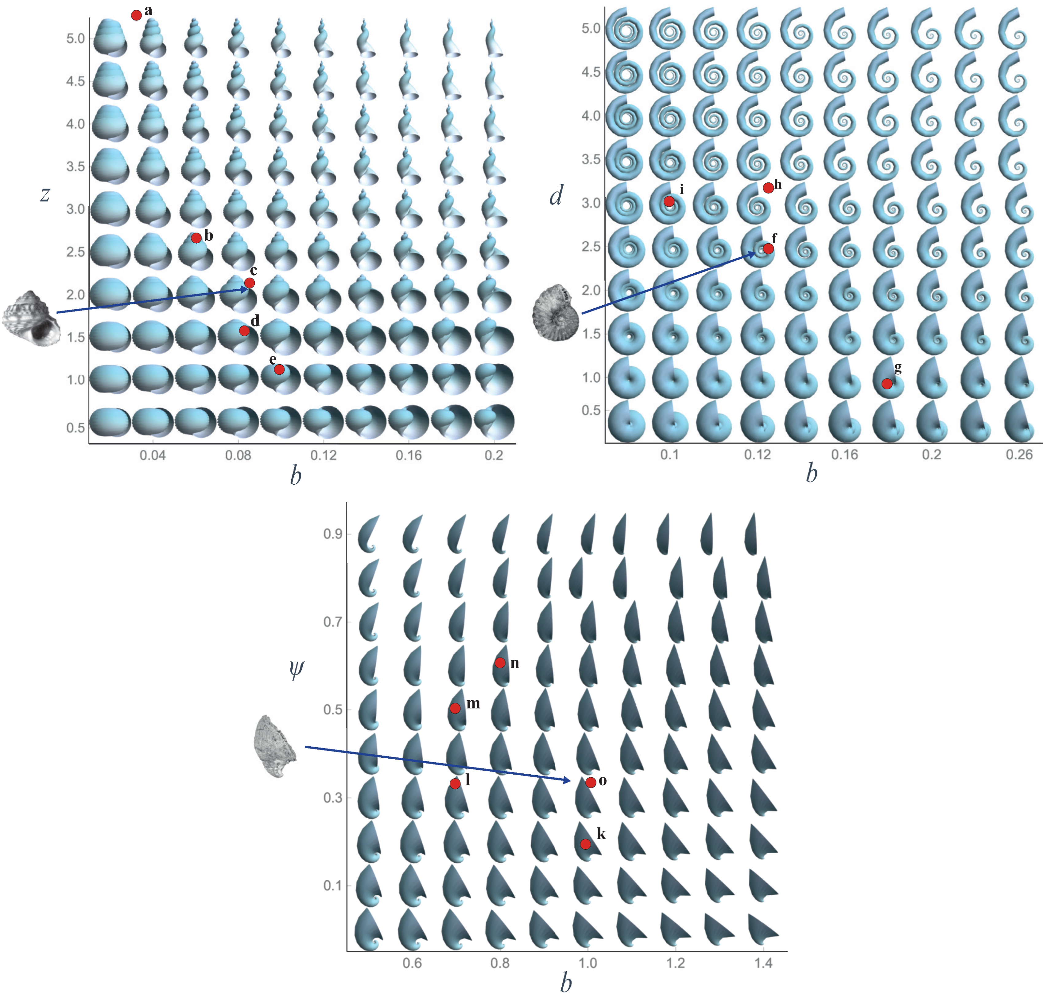 Diversity 15 00431 g011