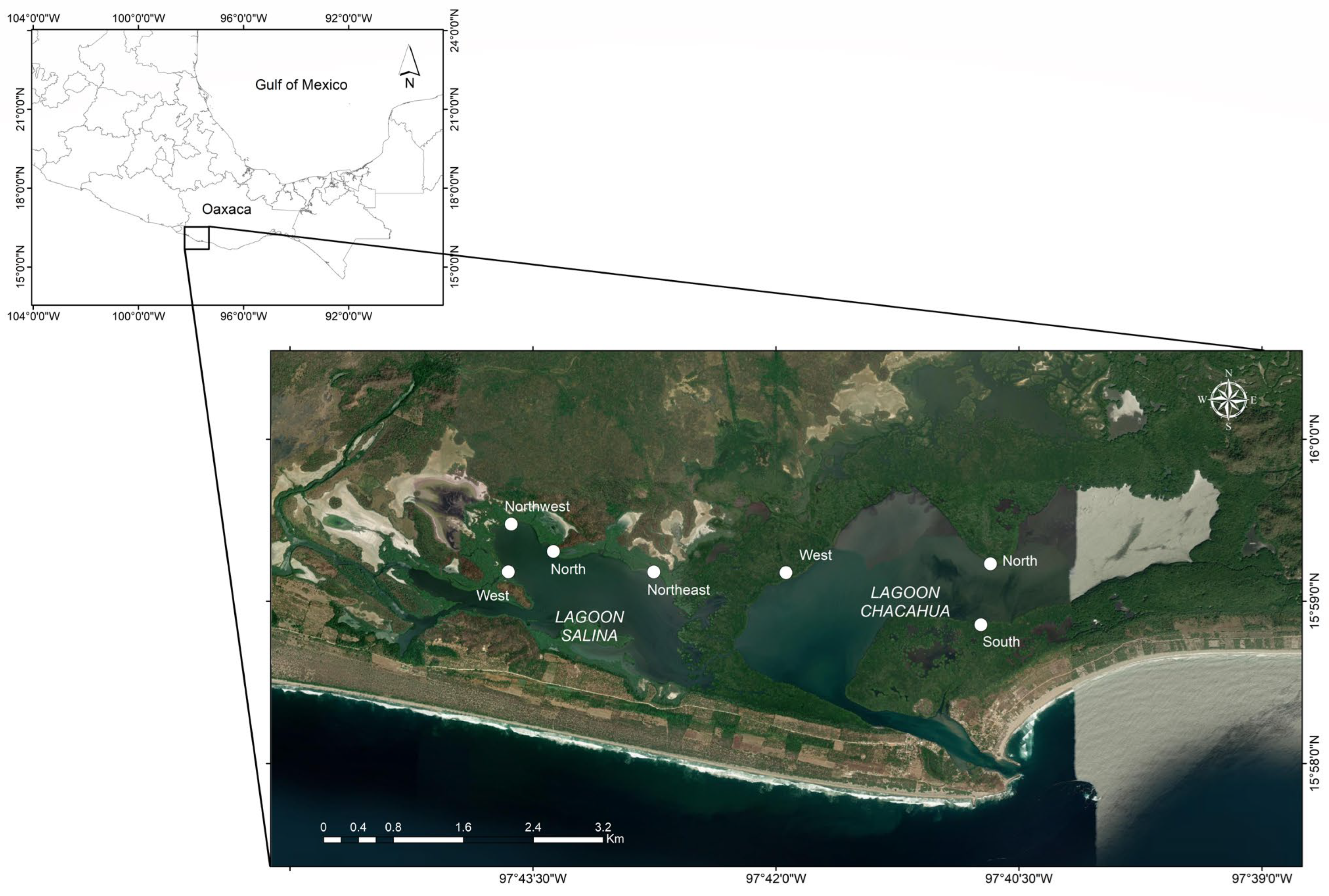 Diversity 15 00432 g001 Diversity 15 00432 g001