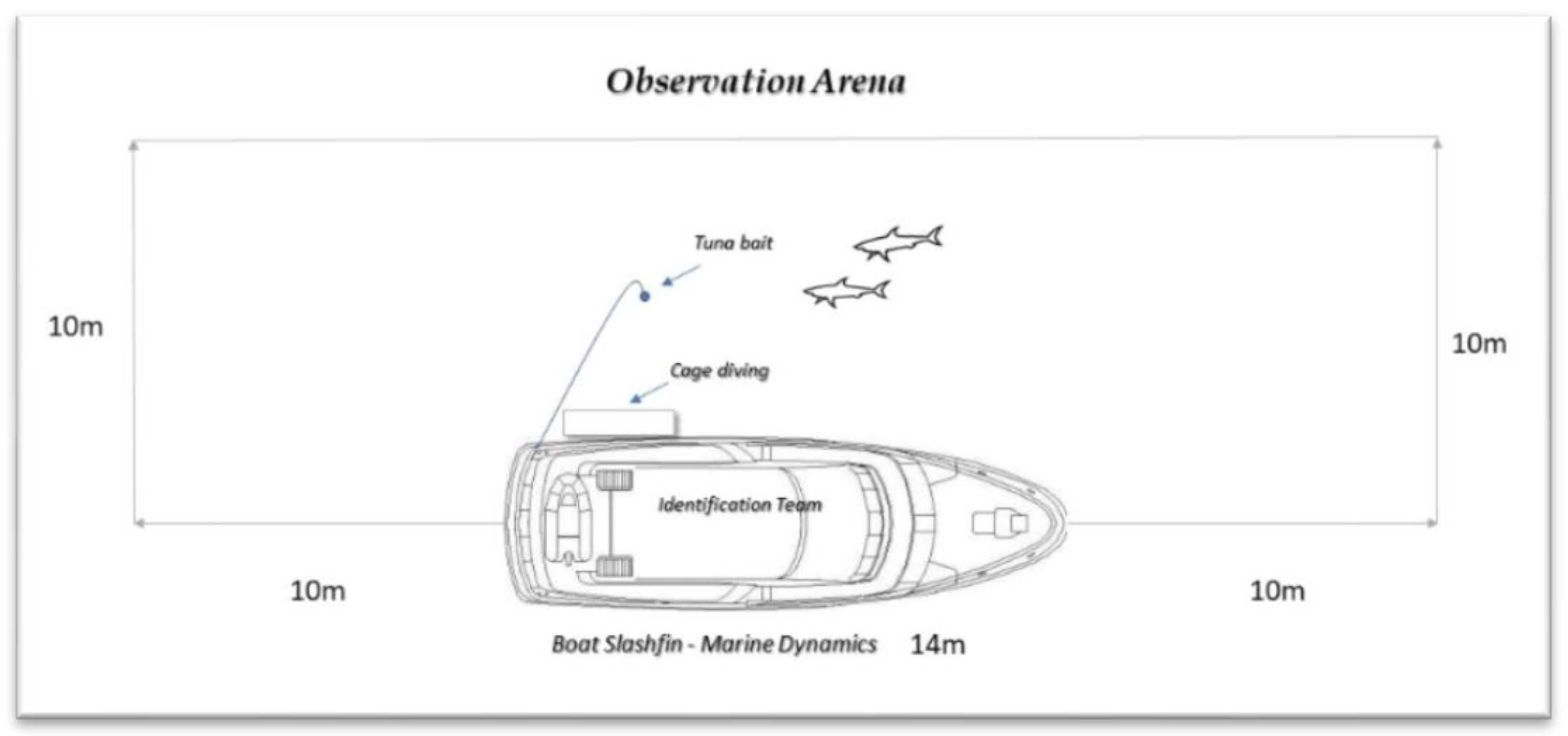 Diversity 15 00433 g002