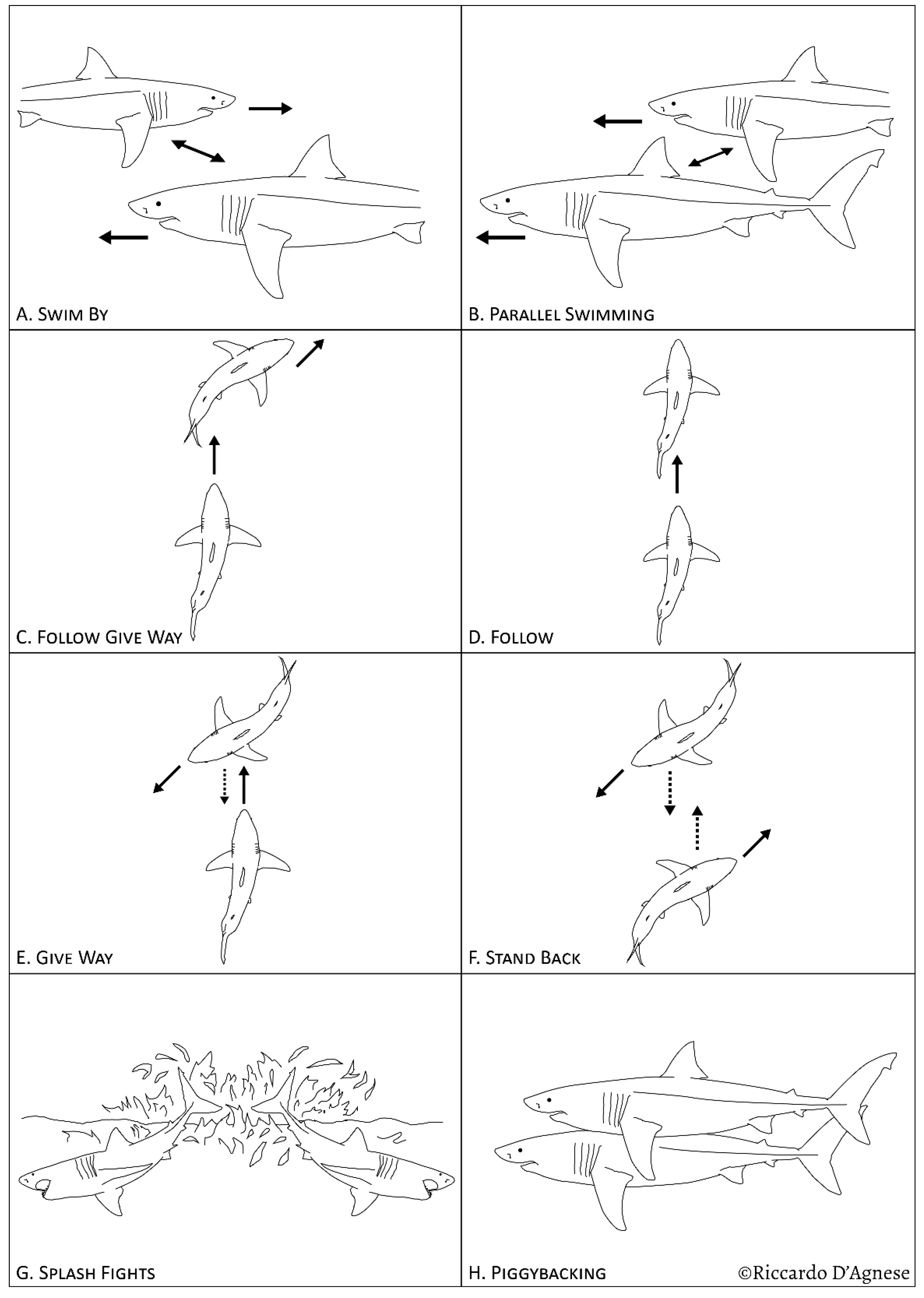 Diversity 15 00433 g004