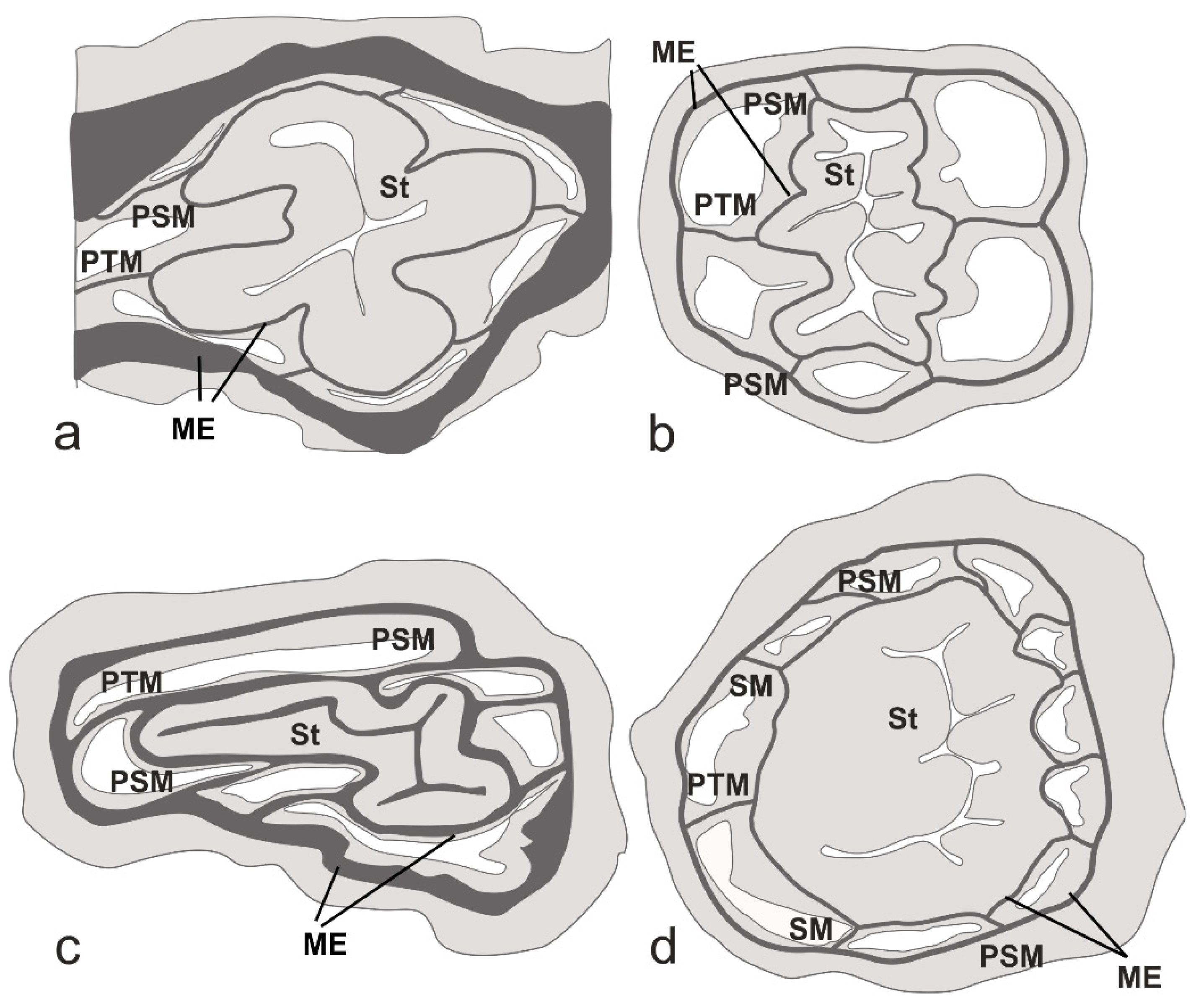 Diversity 15 00436 g006 Diversity 15 00436 g006