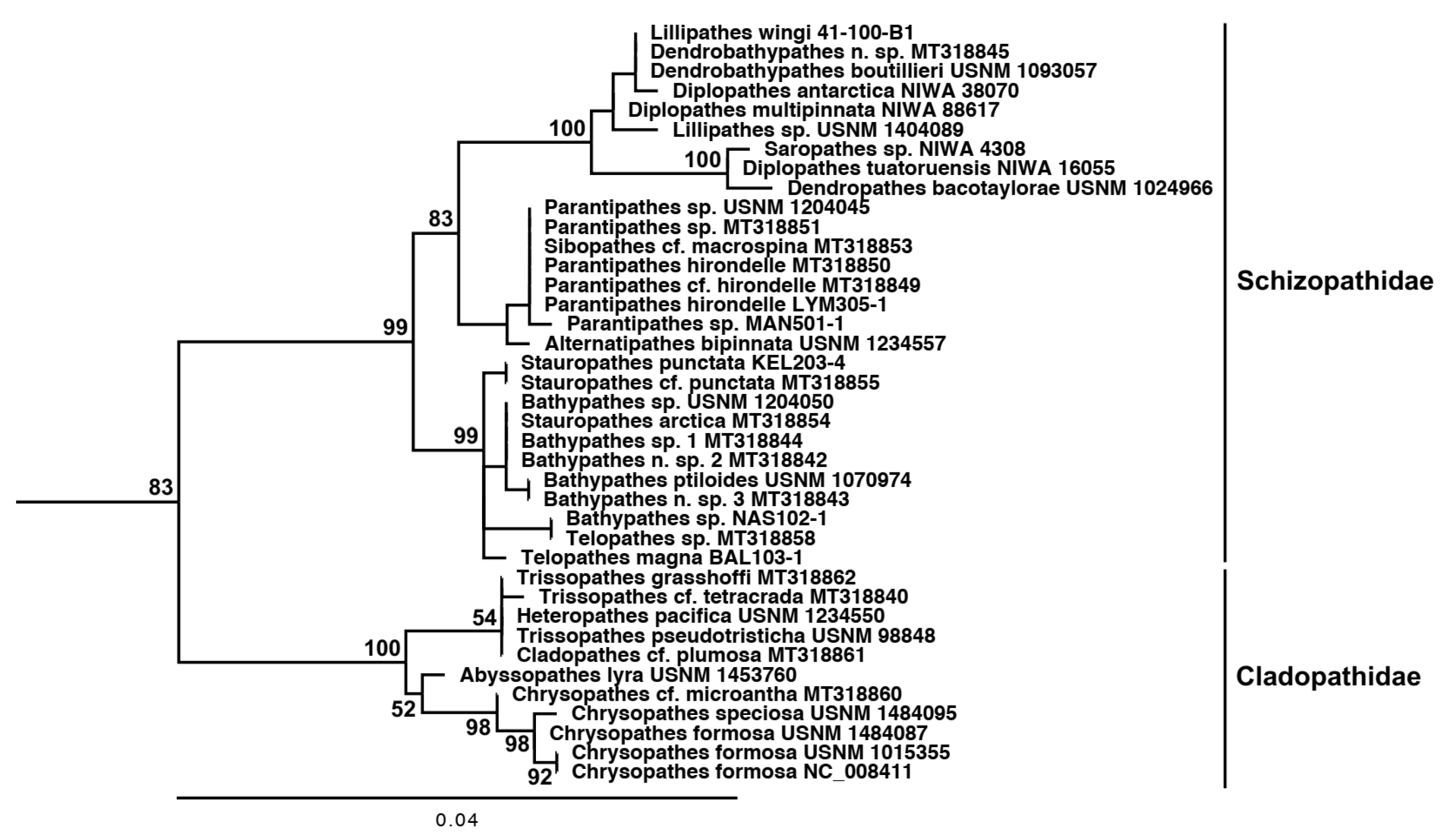 Diversity 15 00436 g007 Diversity 15 00436 g007