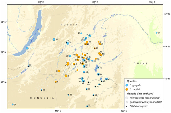 An Invisible Boundary between Geographic Ranges of Cryptic Species of ...