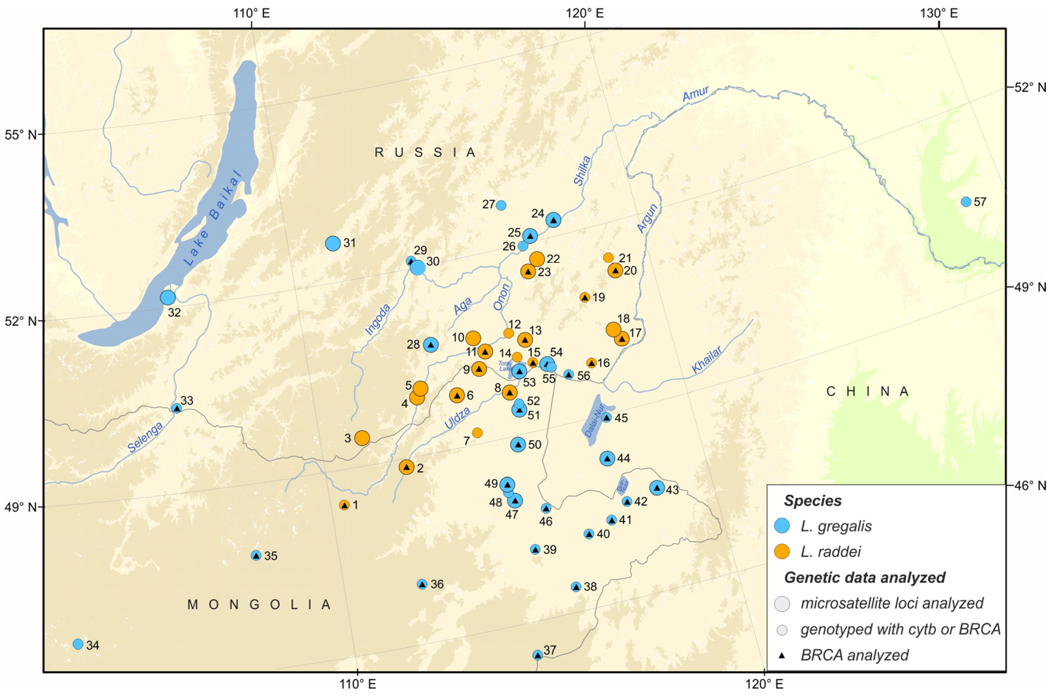 Diversity 15 00439 g001