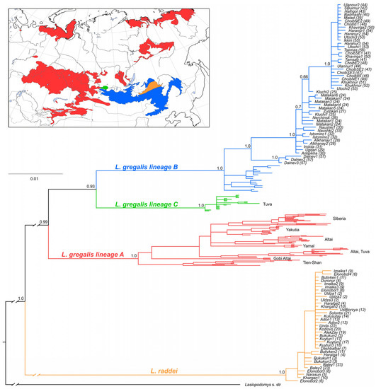 An Invisible Boundary between Geographic Ranges of Cryptic Species of ...