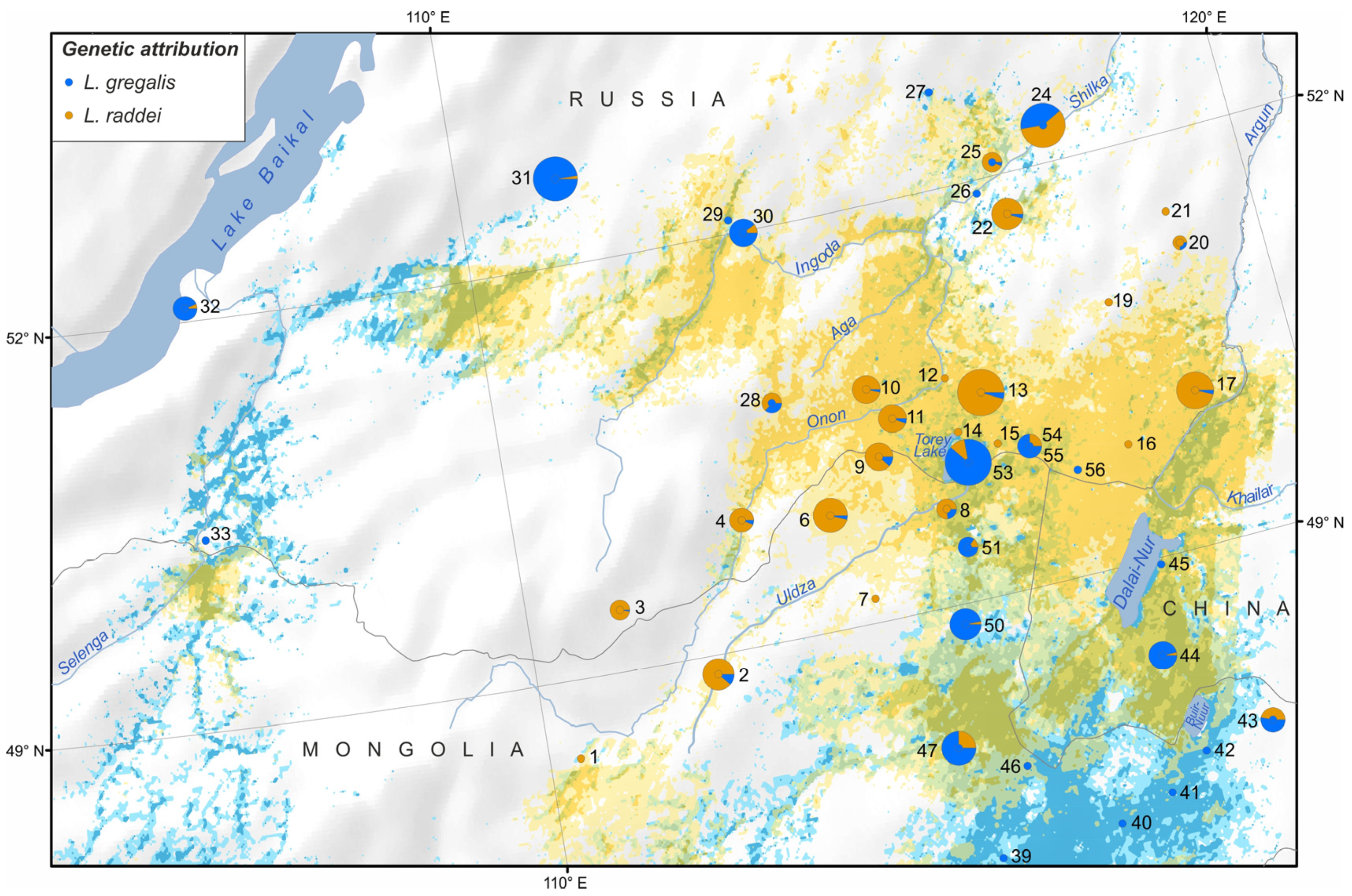 Diversity 15 00439 g005