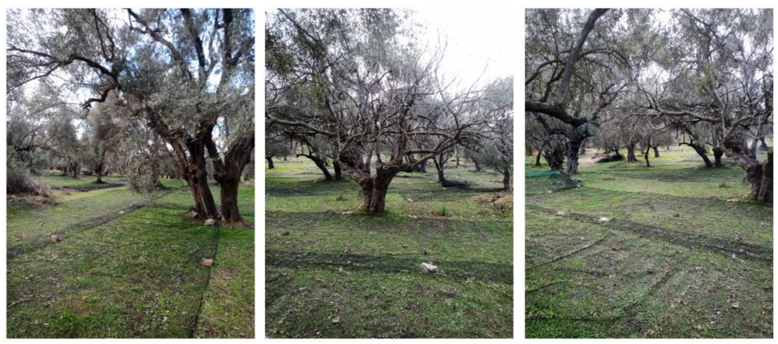 Diversity 15 00452 g001