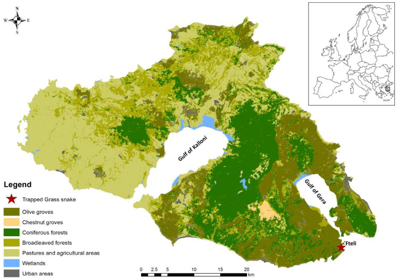 Diversity 15 00452 g003
