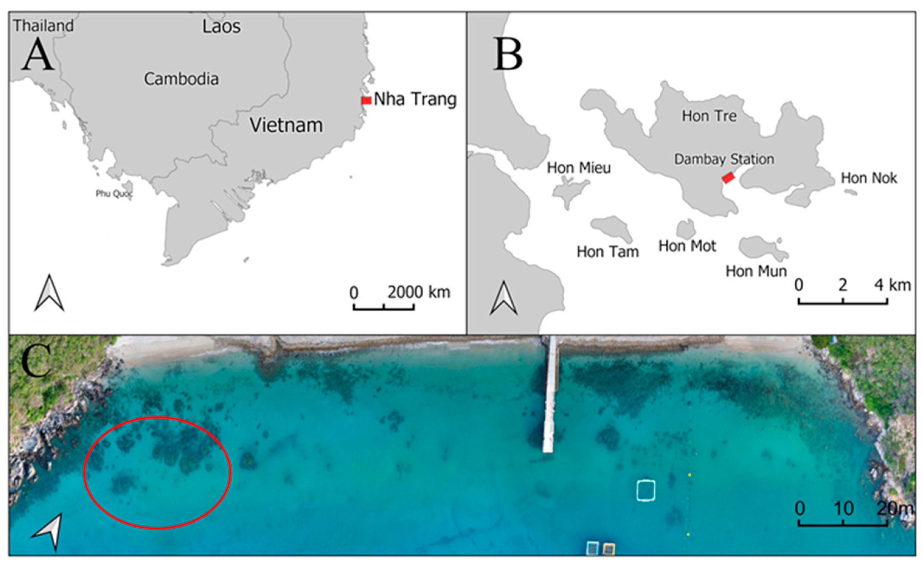 Diversity 15 00456 g002 Diversity 15 00456 g002