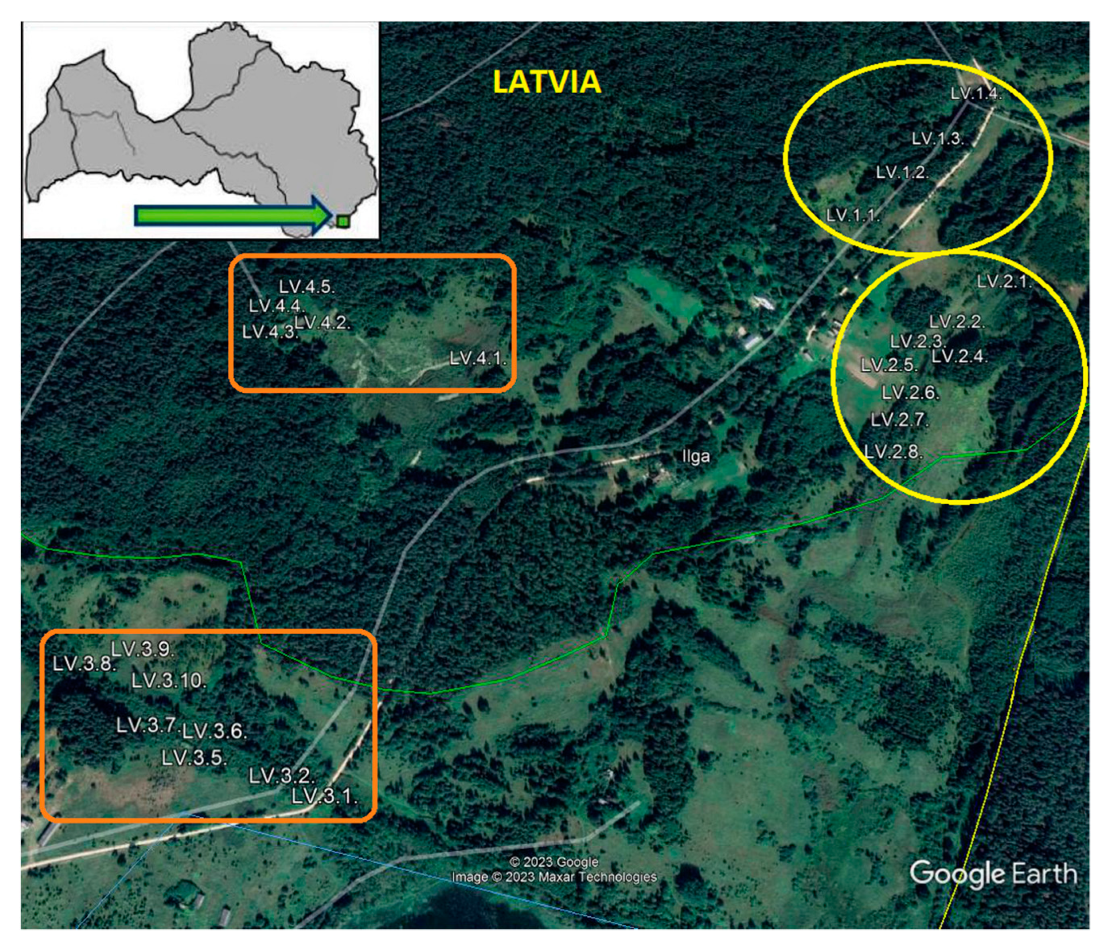 Diversity 15 00461 g001 Diversity 15 00461 g001