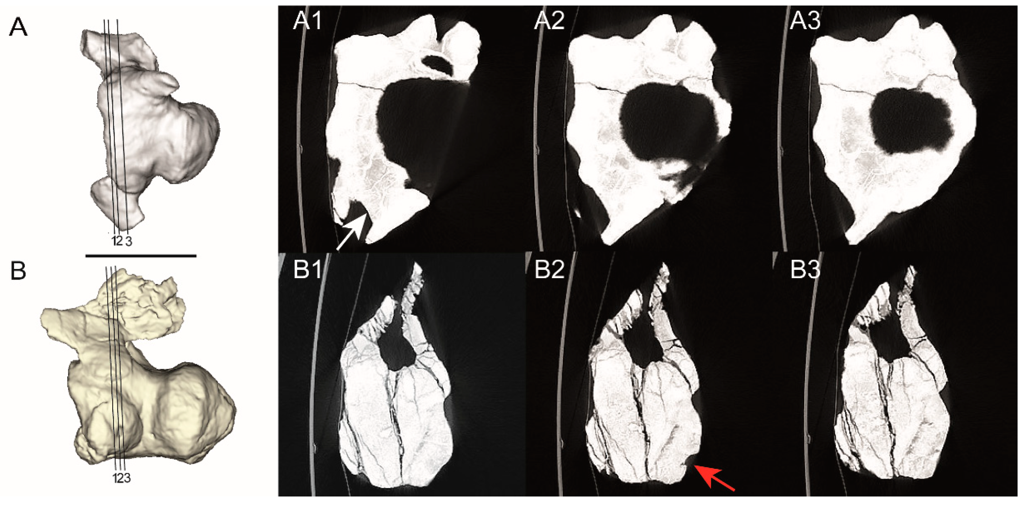 Diversity 15 00464 g003