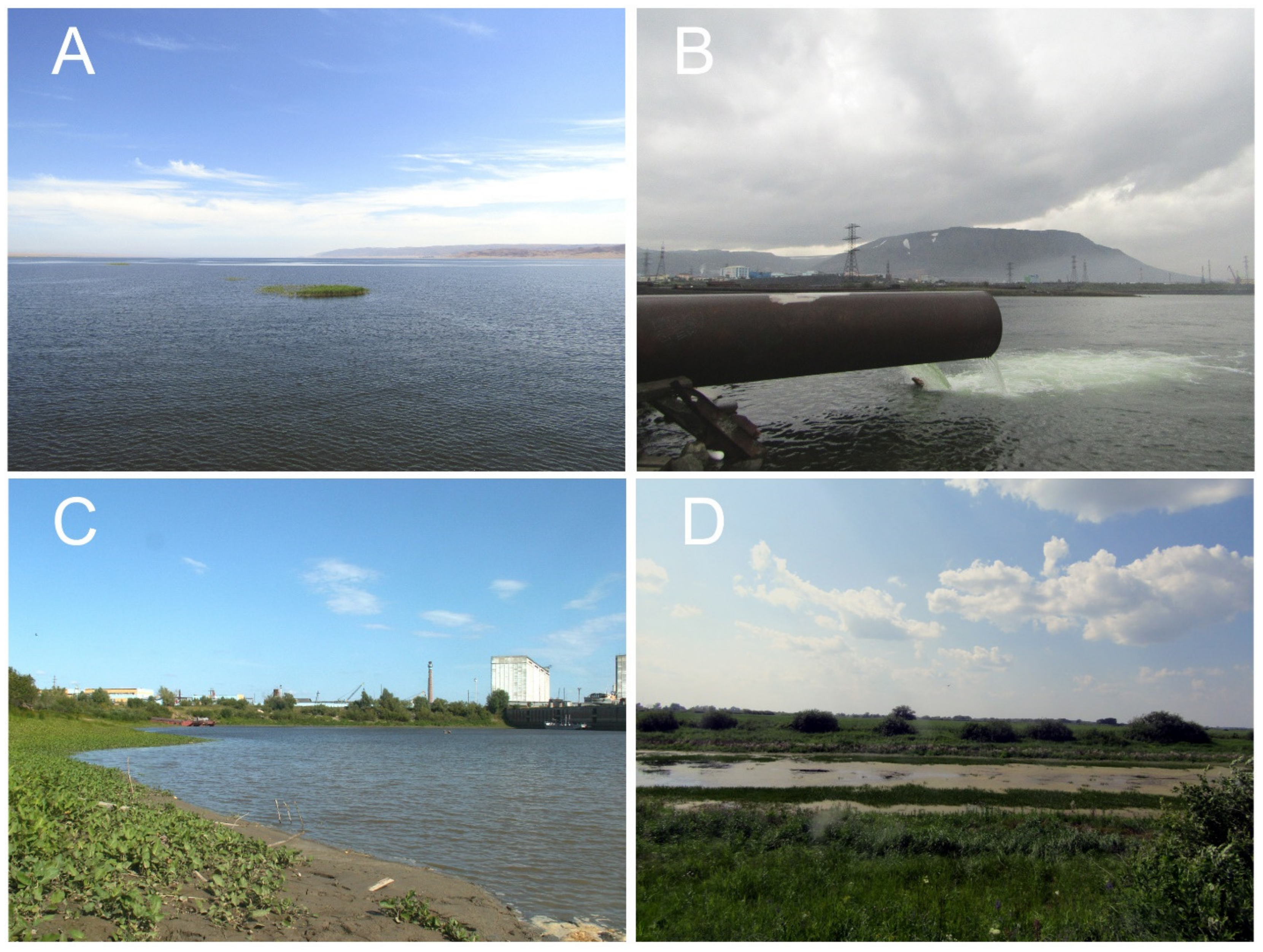 Diversity 15 00465 g002