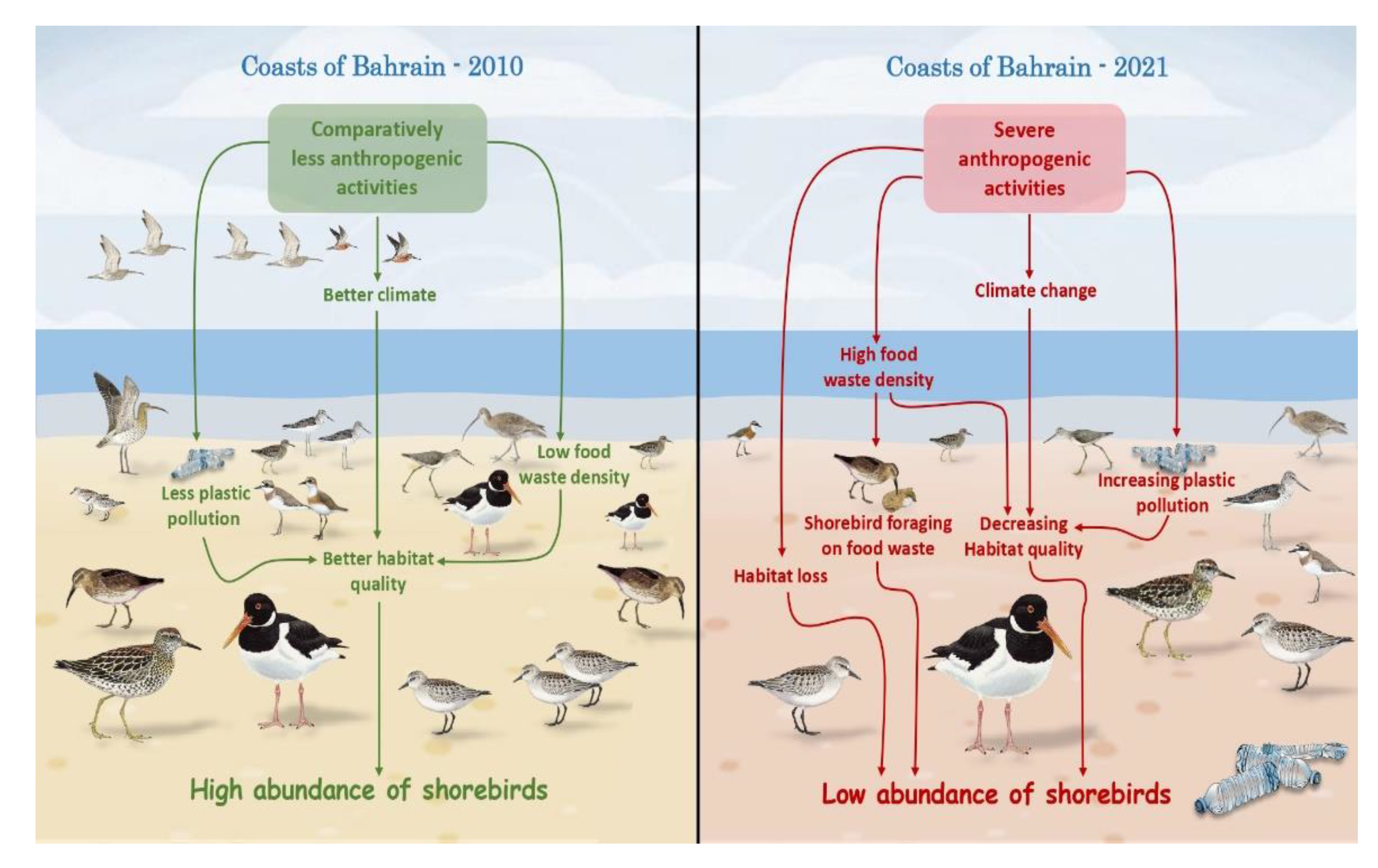 Diversity 15 00468 g005 Diversity 15 00468 g005