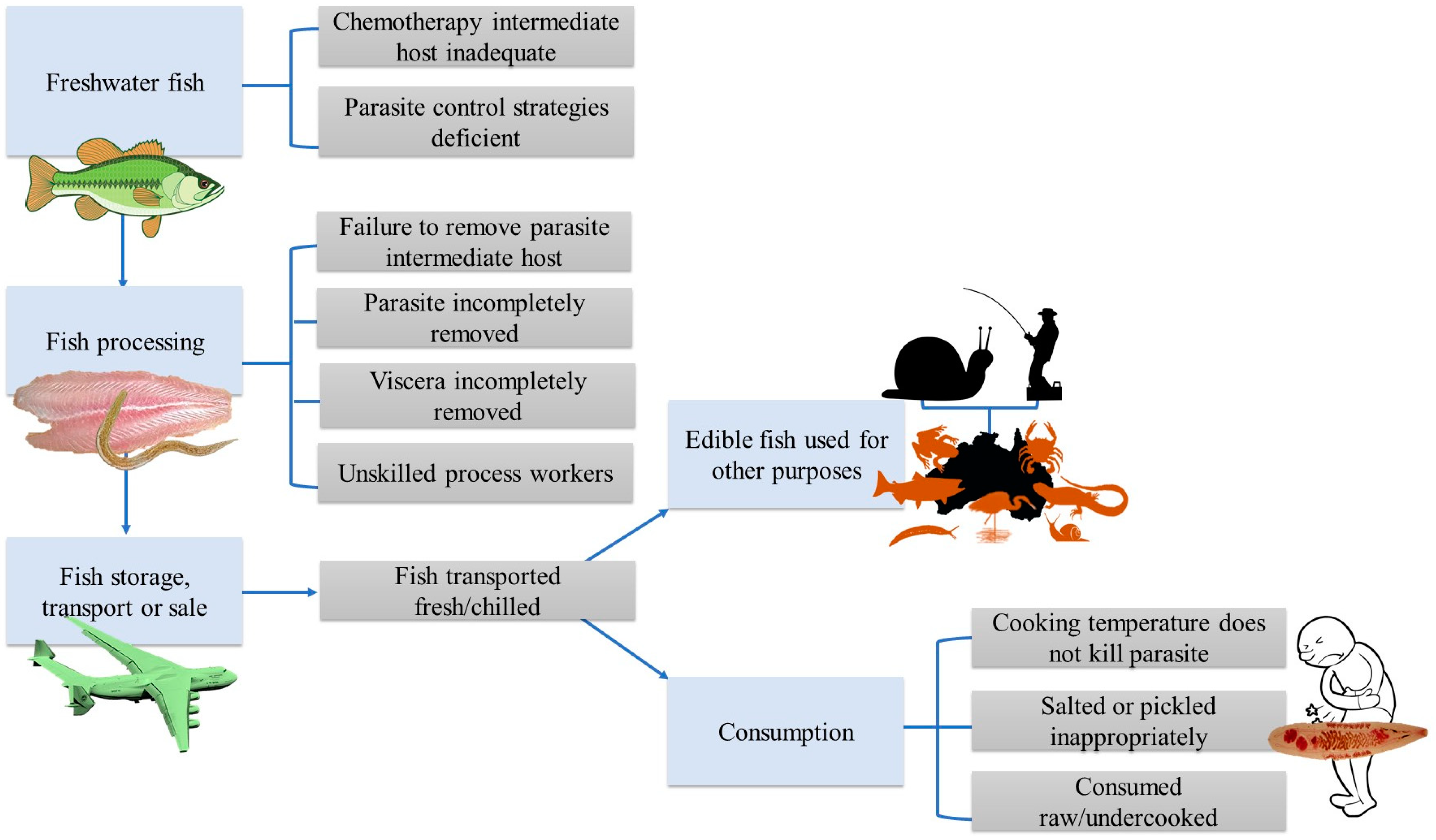 PDF) Some Biological Aspects of Four Fish Species in East Hammar